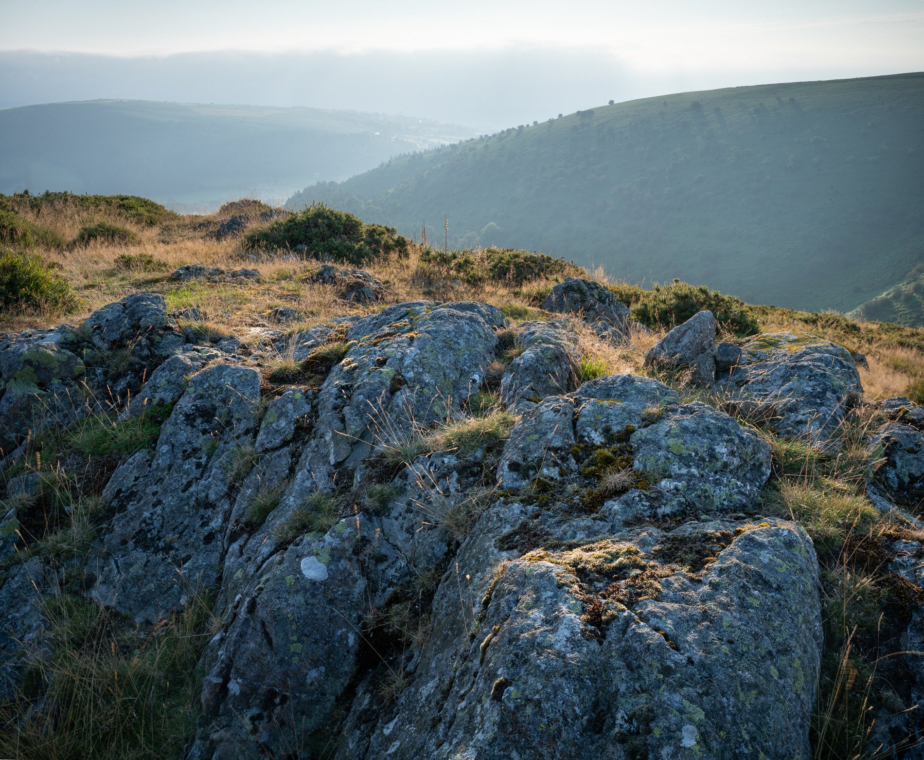 Summer Summit, Hanter Hill.JPG