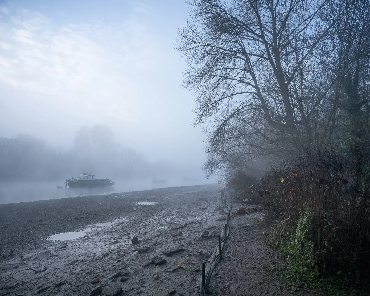 Low Tide, Morning Fog.JPG