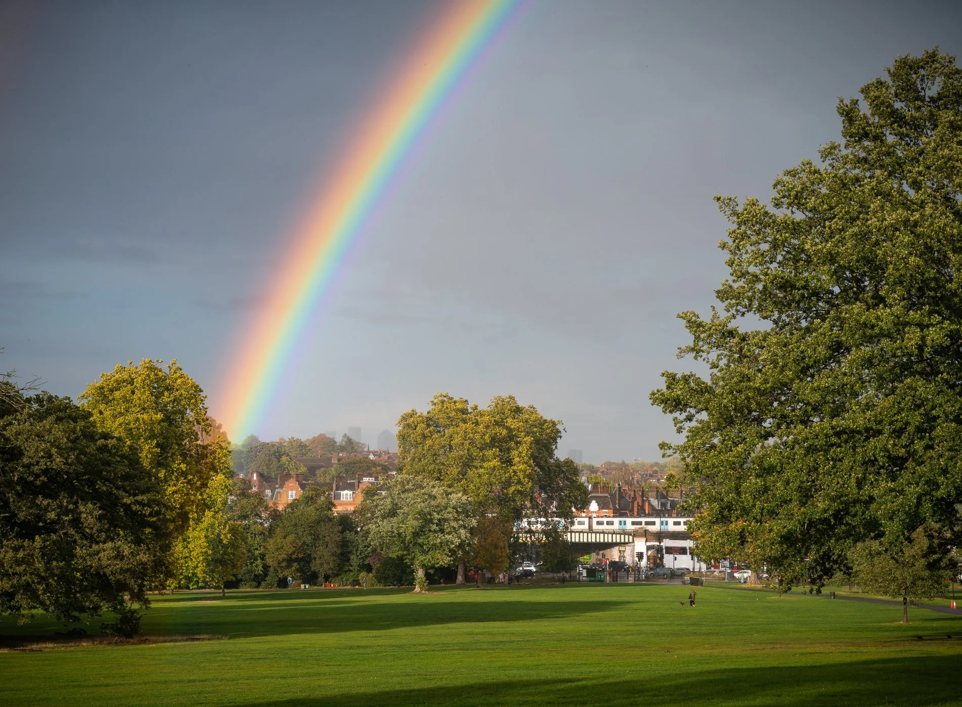 Rainbow Town II, September 2025, Richmond Park Field Camera