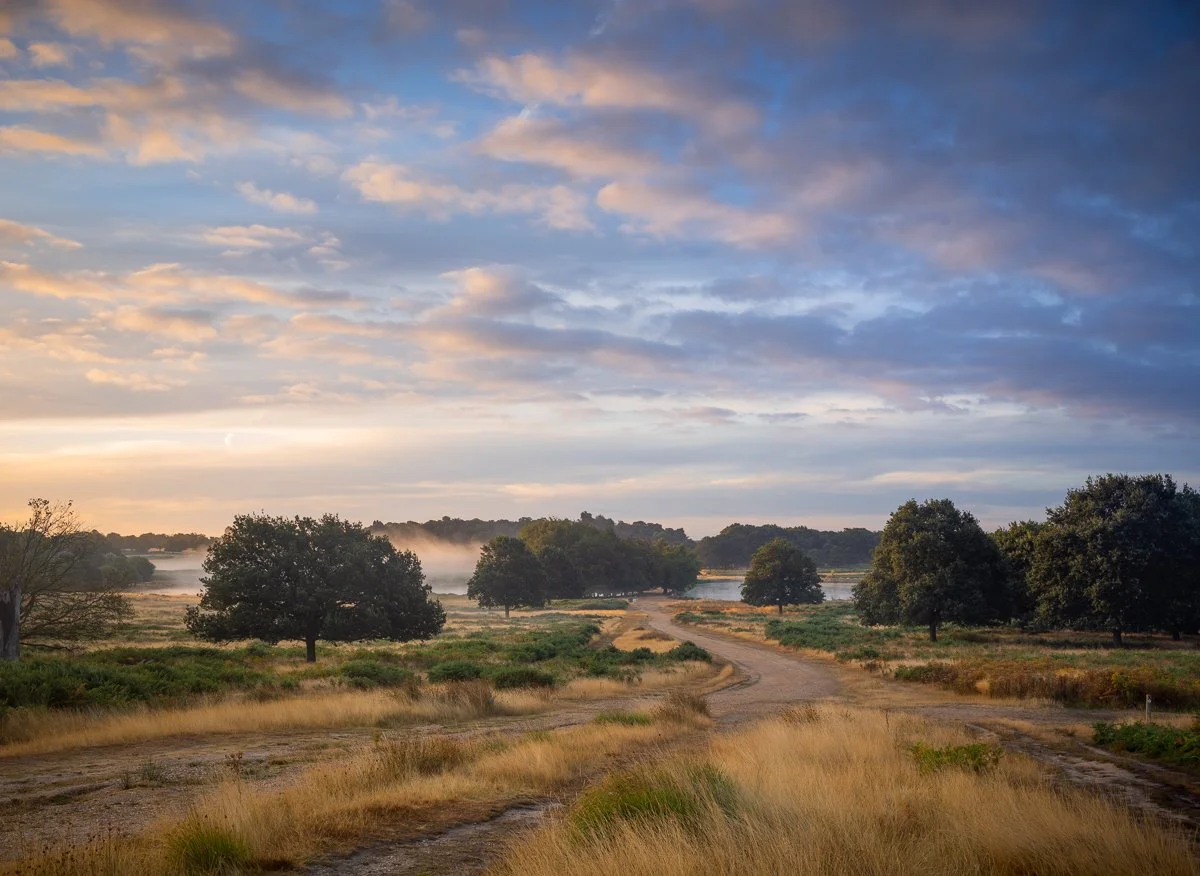 Pen Ponds Overlook. August 2018