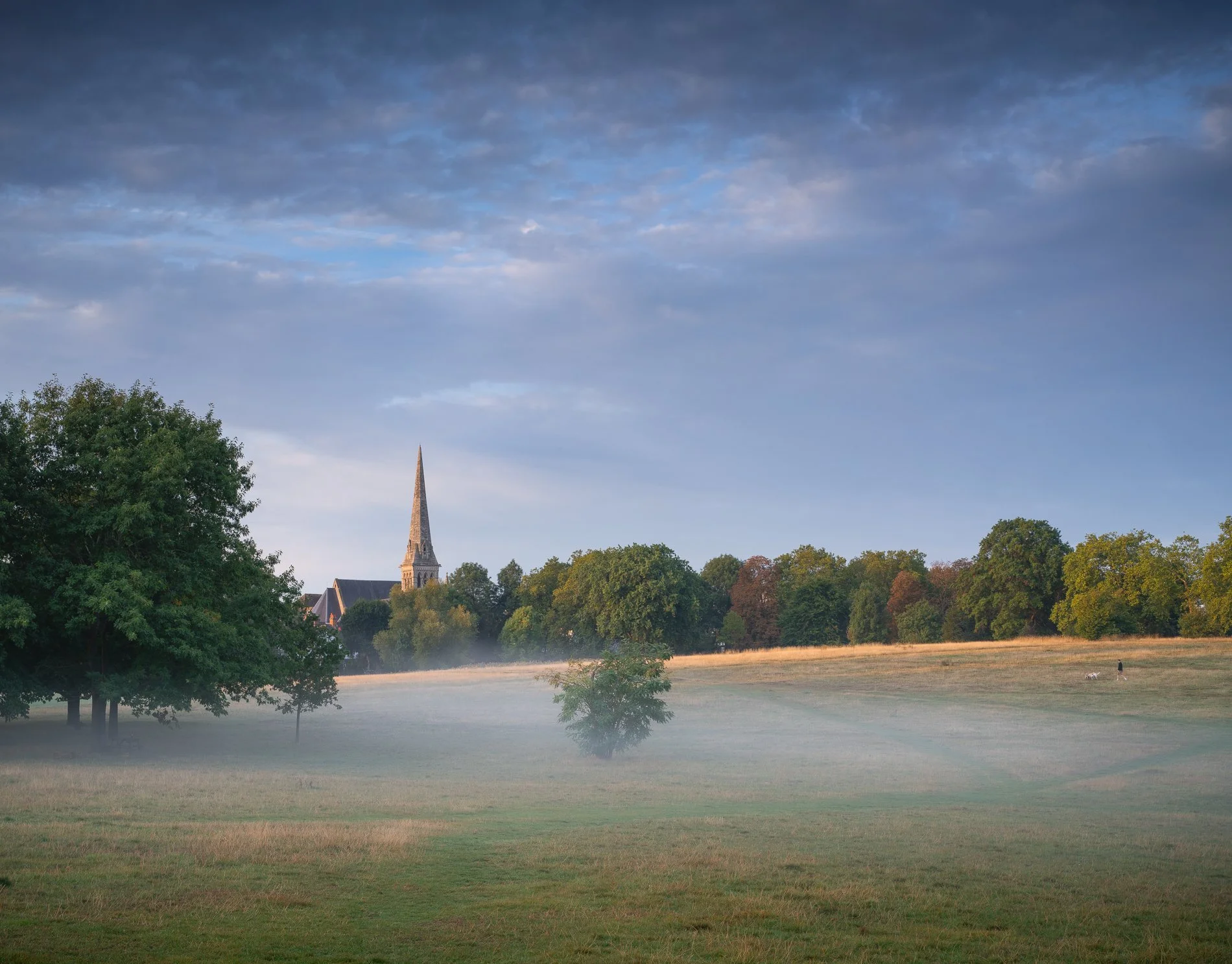 The Meadow, Early September, 2025, Richmond Park Field Camera