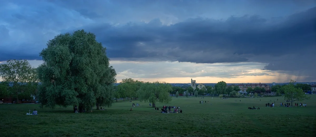 Signs of Life, Early June.JPG