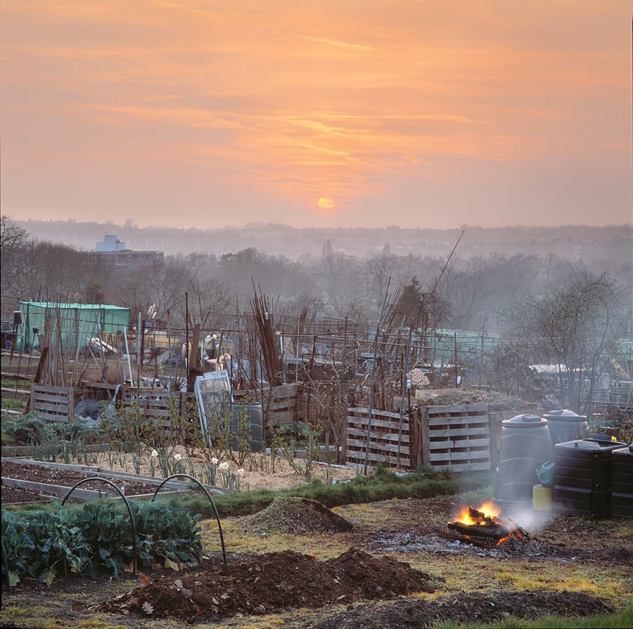 Fires of the Earth and Sky. Allotments. 2010