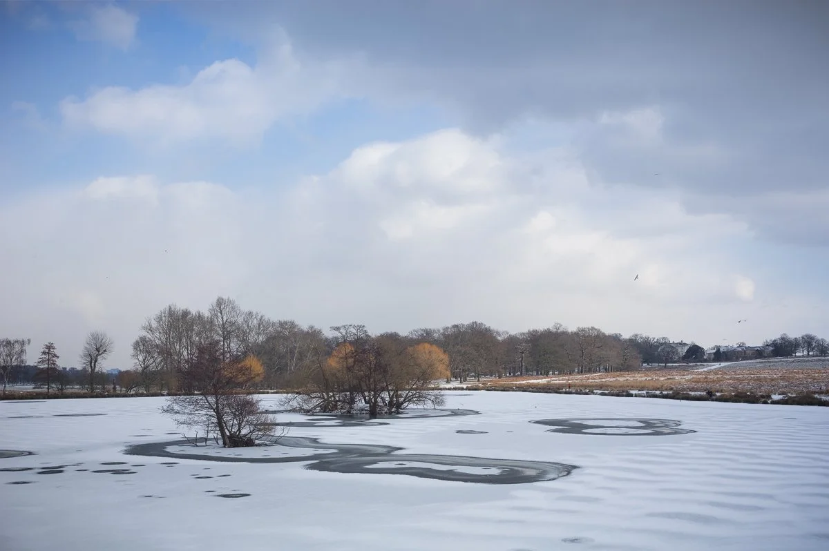 Pen Ponds, Winter.JPG