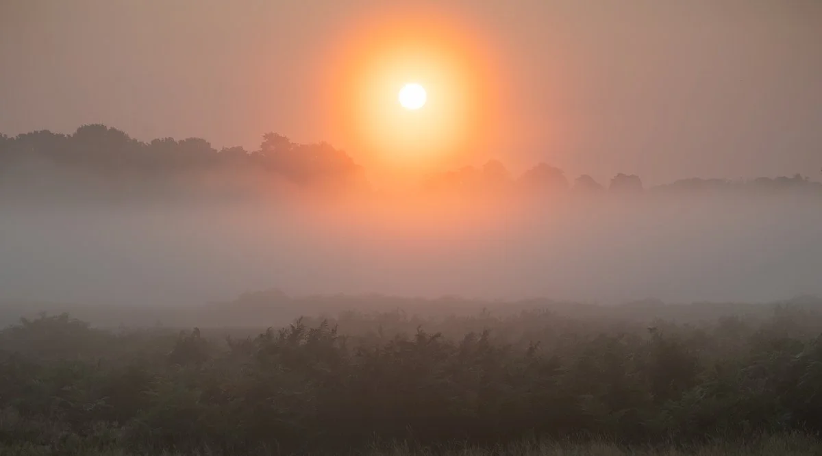 Aureole over Fog Bank, Pen Ponds Grassland.JPG