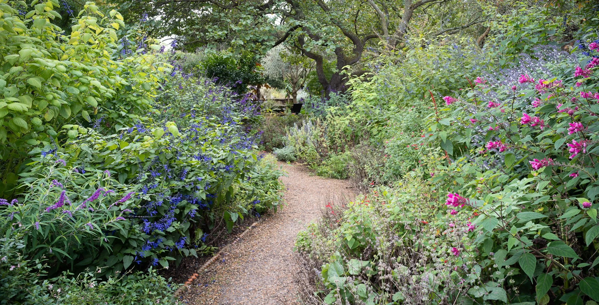 Chelsea Physic Garden - Max A Rush - DSC1284-Pano.jpg