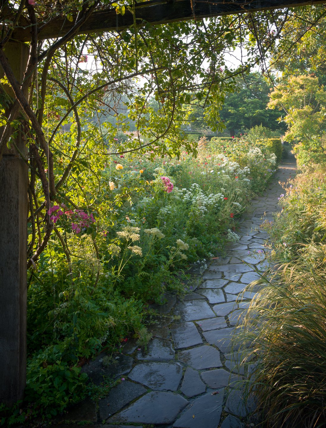 A Rose Garden: Pergola and Blue Stones. Brockwell Park, June 2026. Richmond Park Field Camera