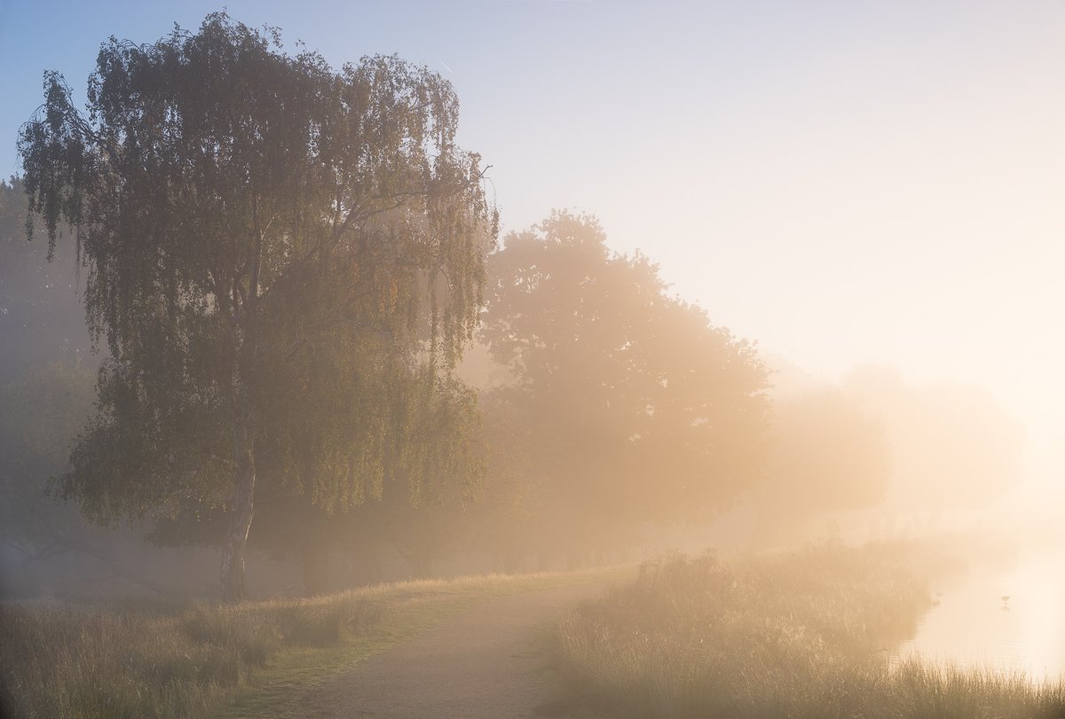 Lakeside Path, Autumn Morning.jpg