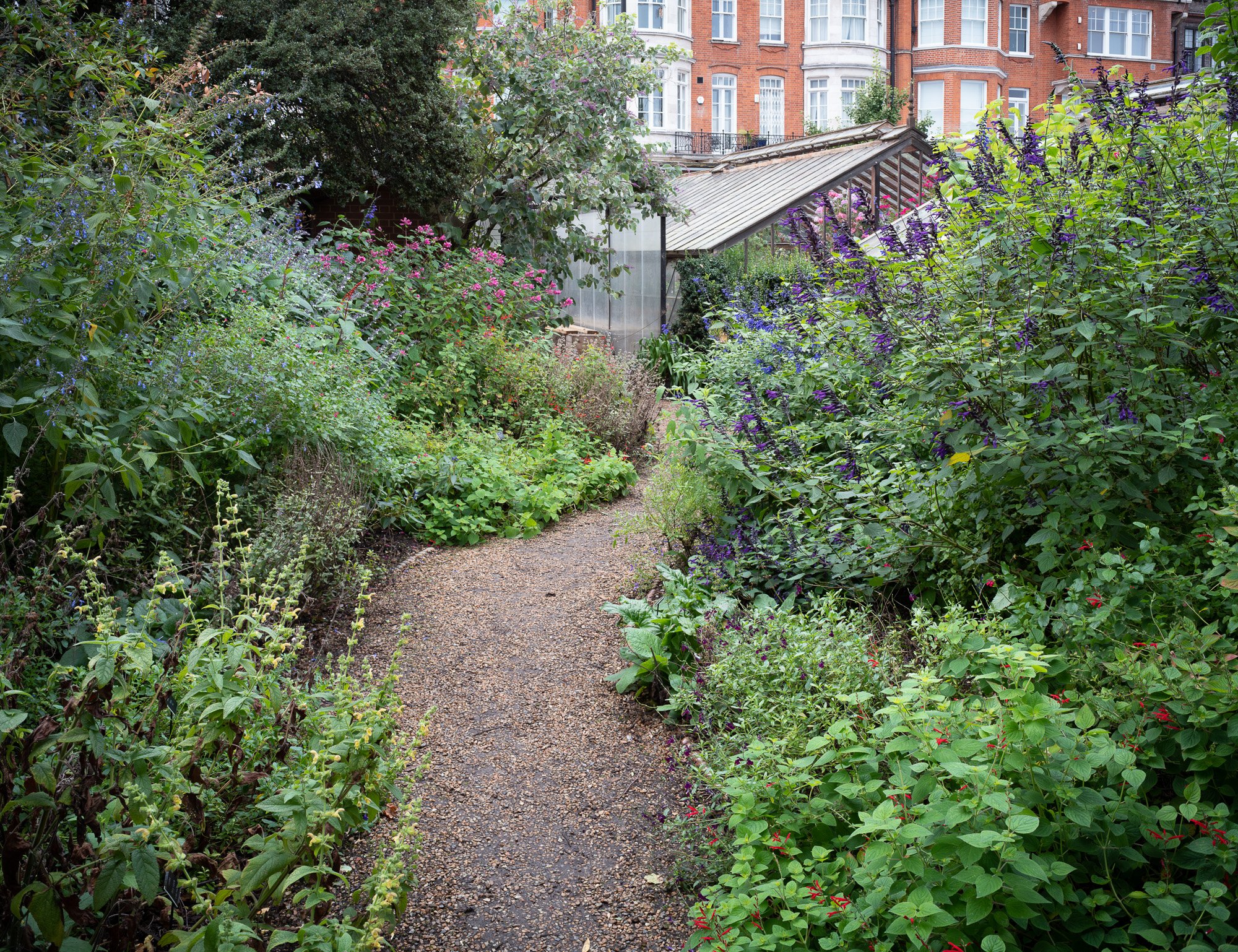 Chelsea Physic Garden - Max A Rush - DSC1257-Pano.jpg