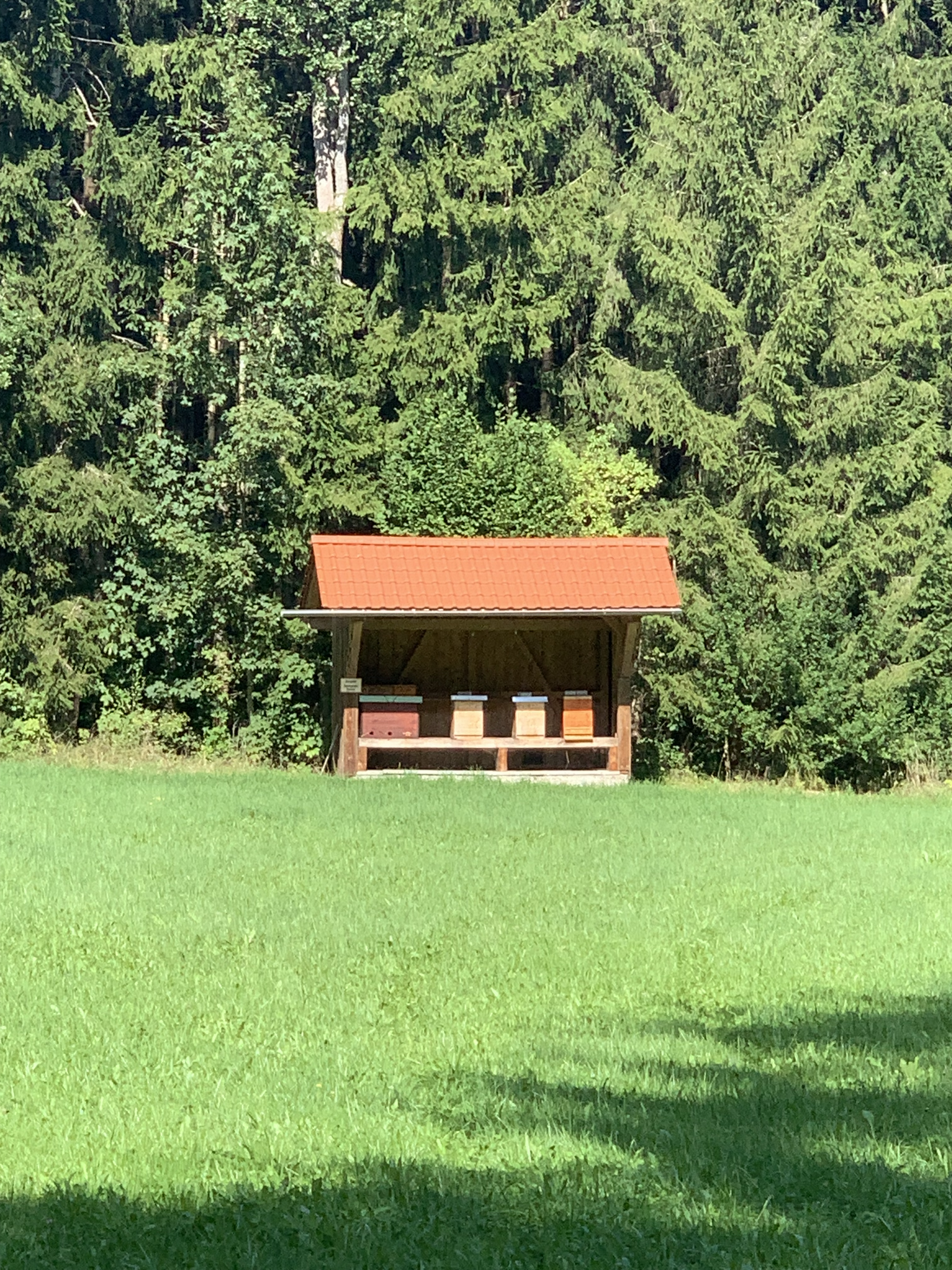 IMG_0832.png