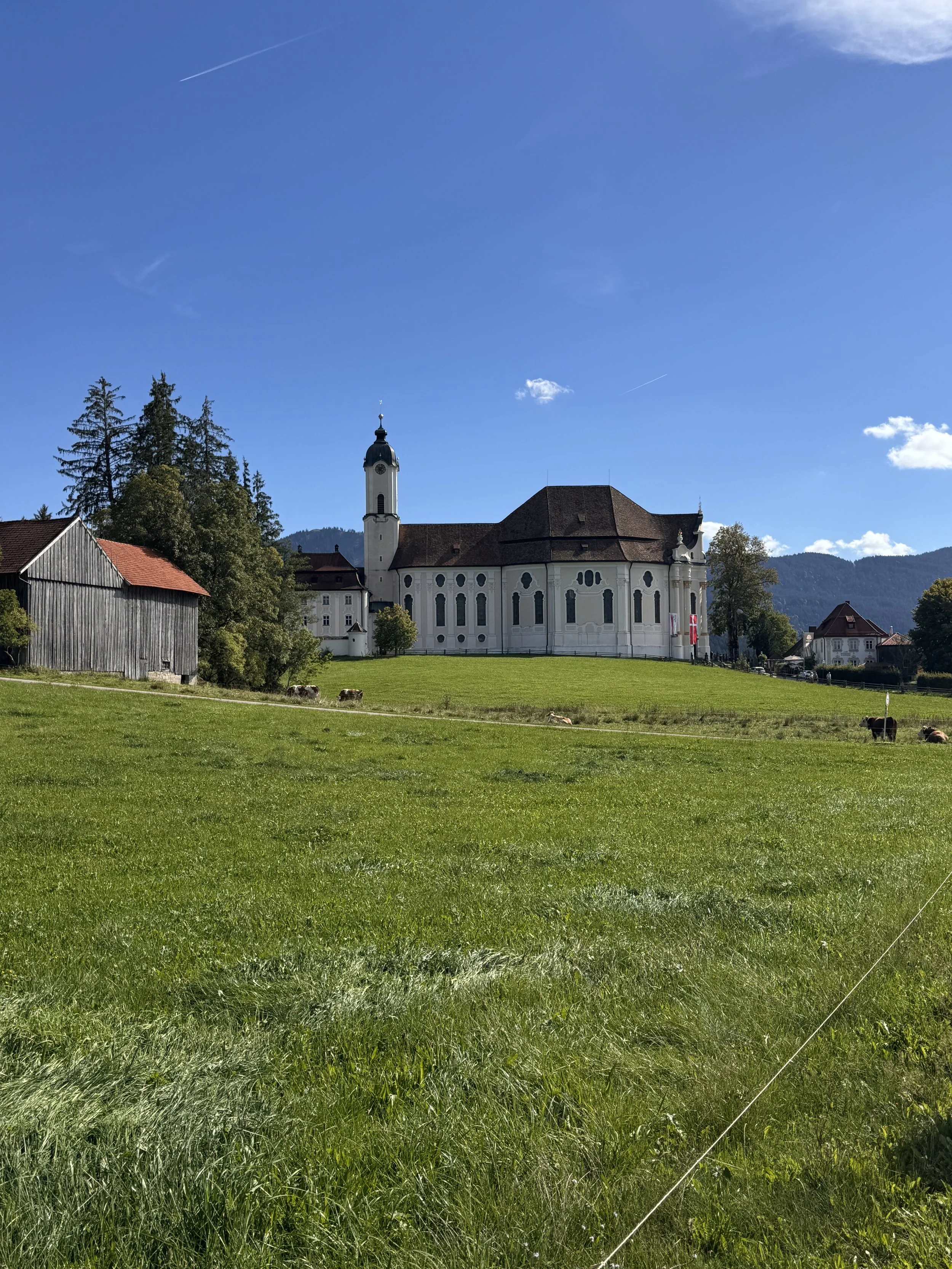 IMG_4729.JPG