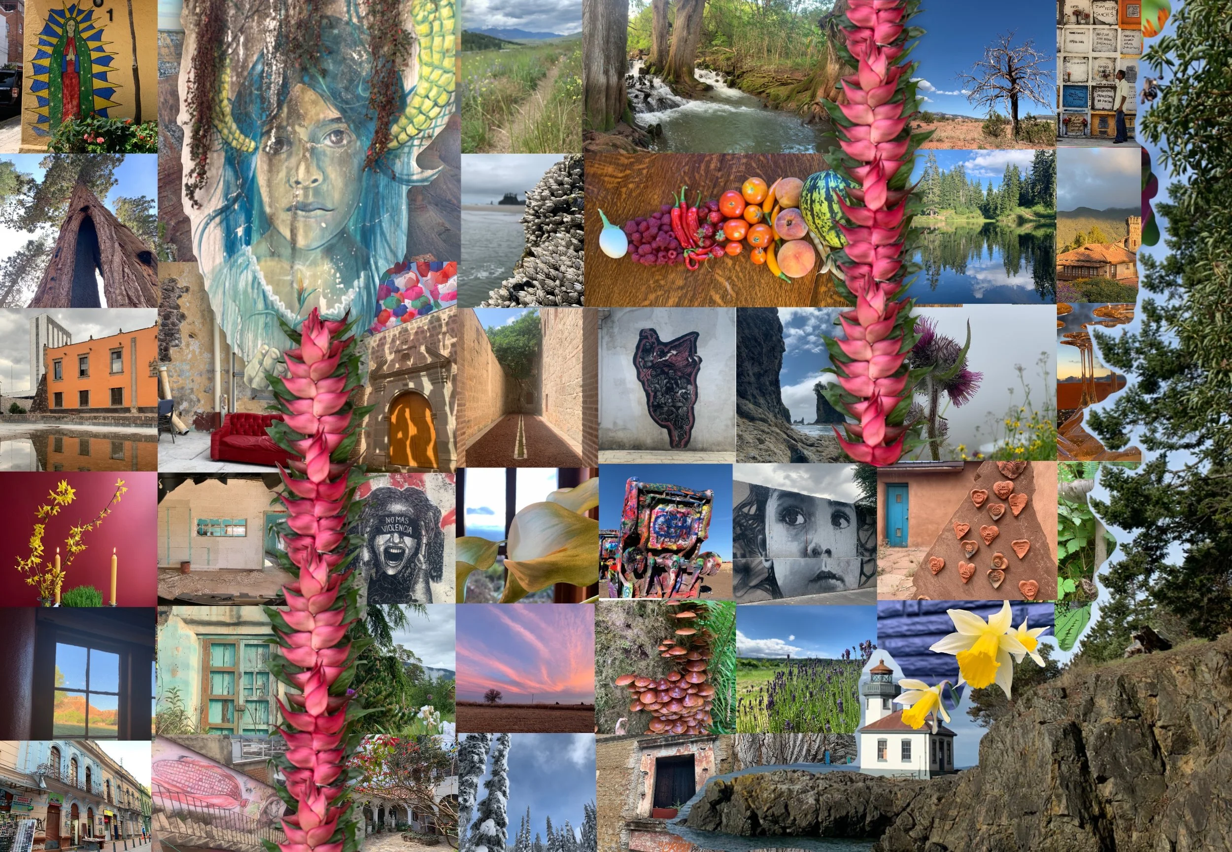 Untitled_Artwork 25.jpg