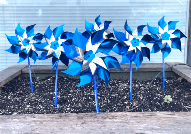 Pinwheels for Prevention