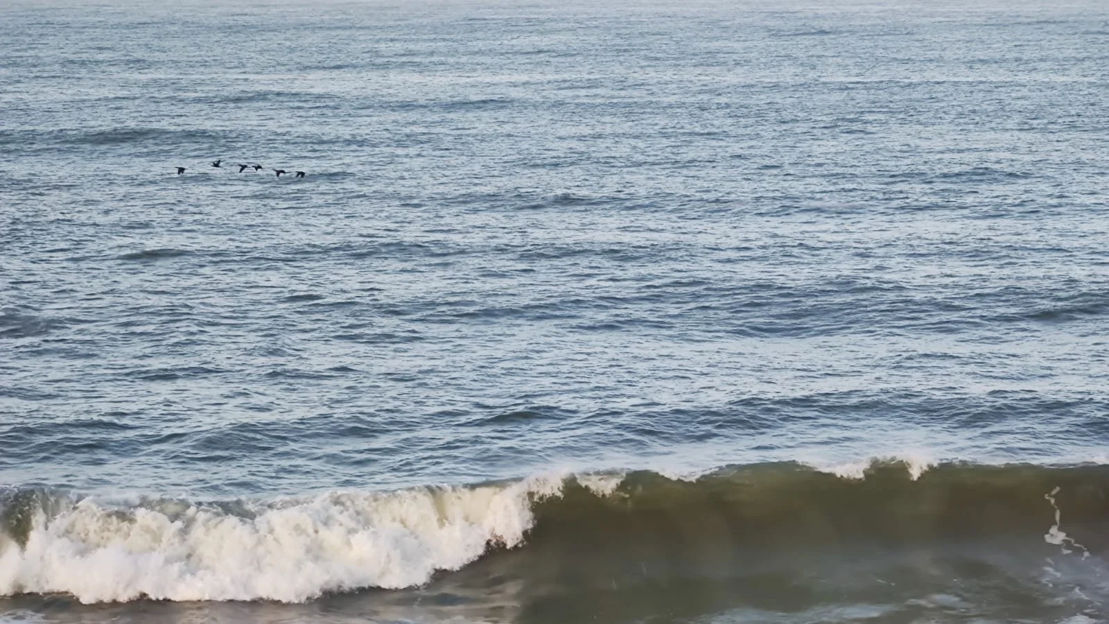 WhatsApp Image 2022-08-15 at 13.50.53 (1).jpeg