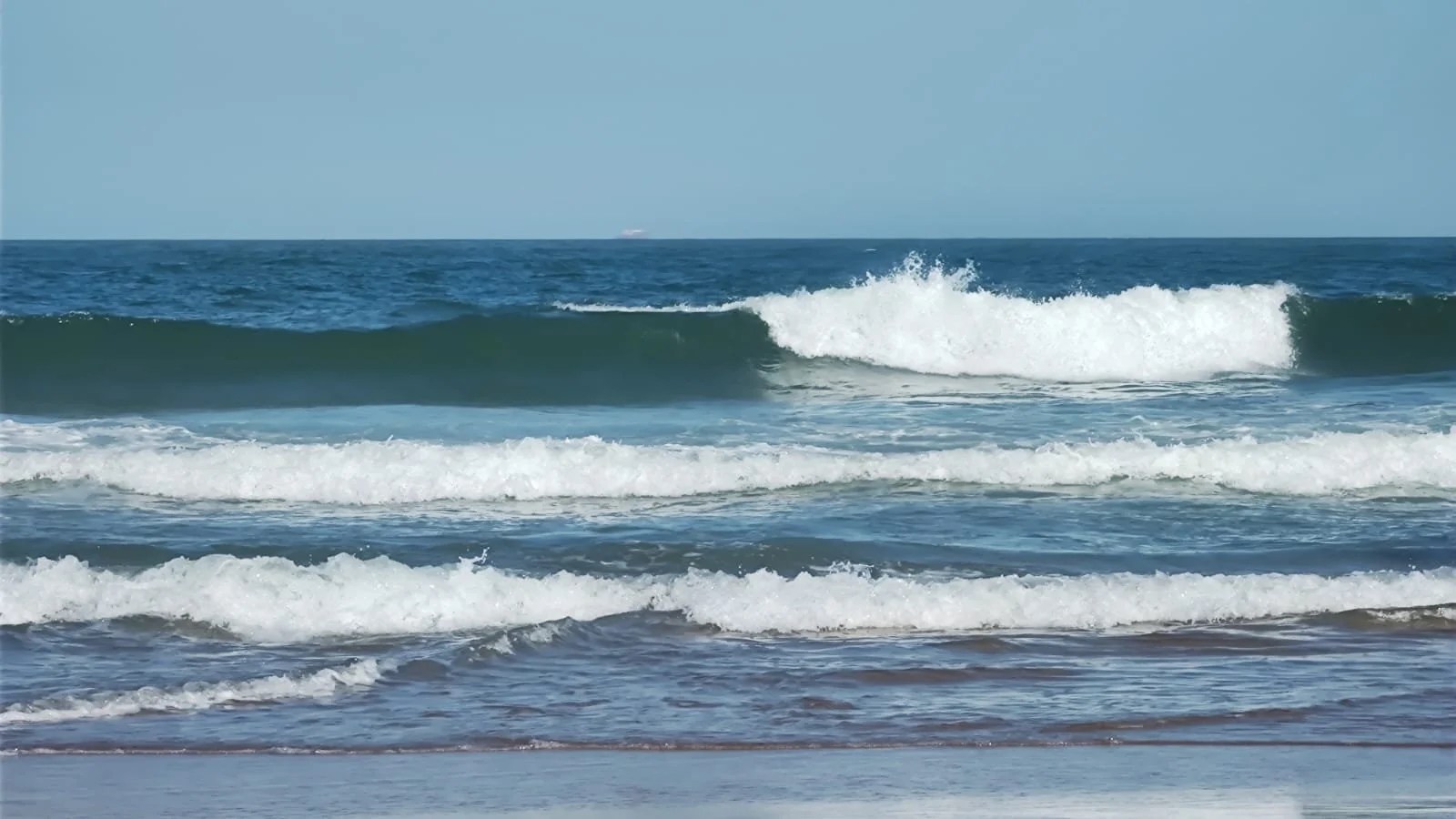 WhatsApp Image 2023-02-27 at 18.30.23.jpeg