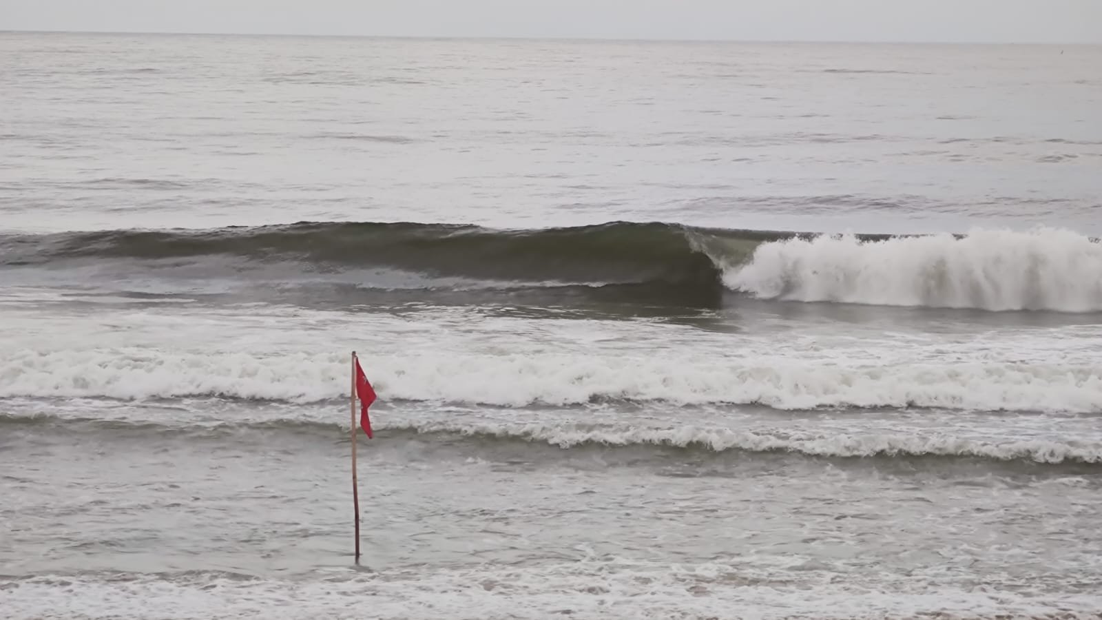 WhatsApp Image 2023-02-27 at 18.31.22.jpeg