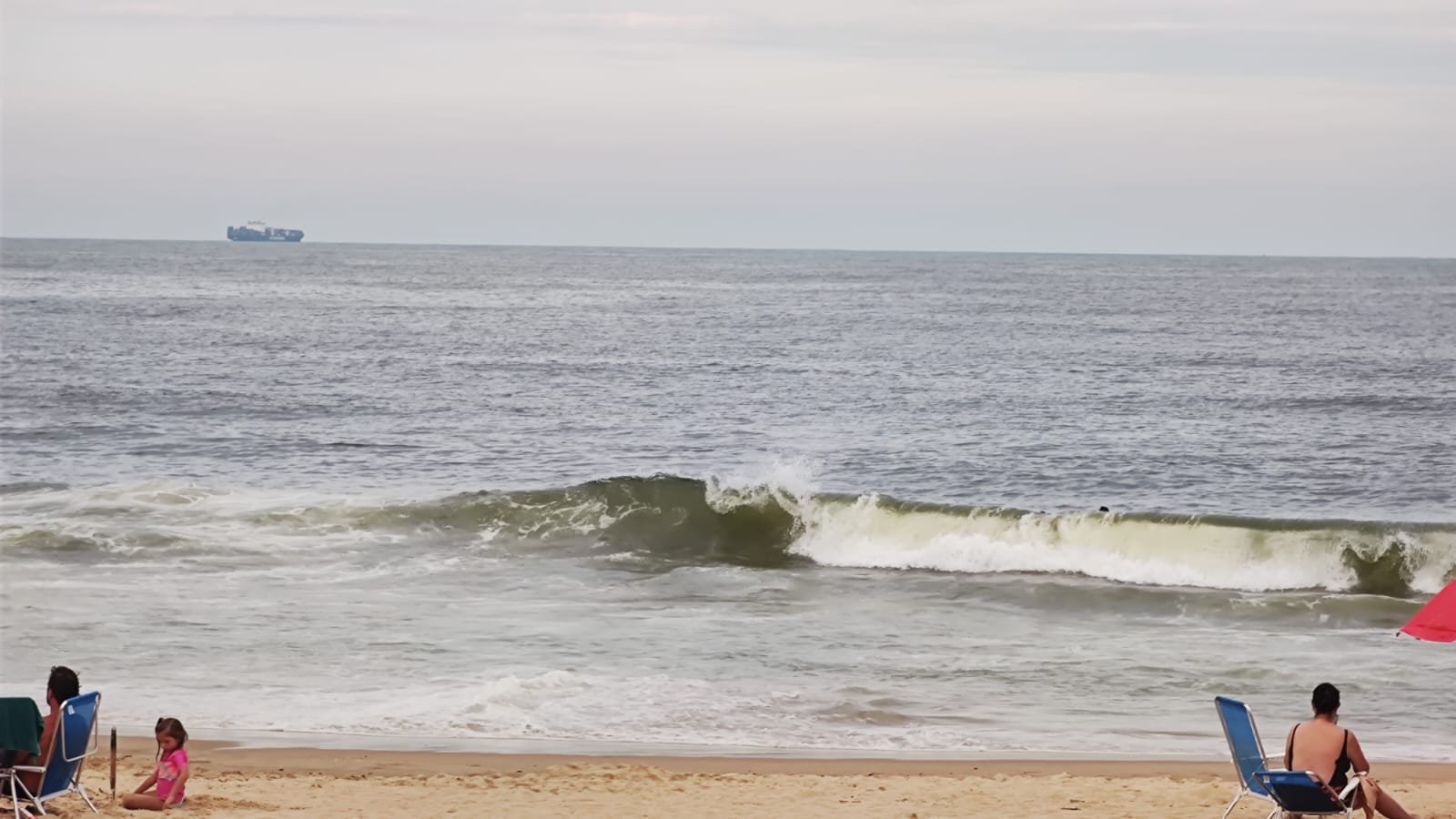 WhatsApp Image 2023-02-27 at 18.31.36.jpeg