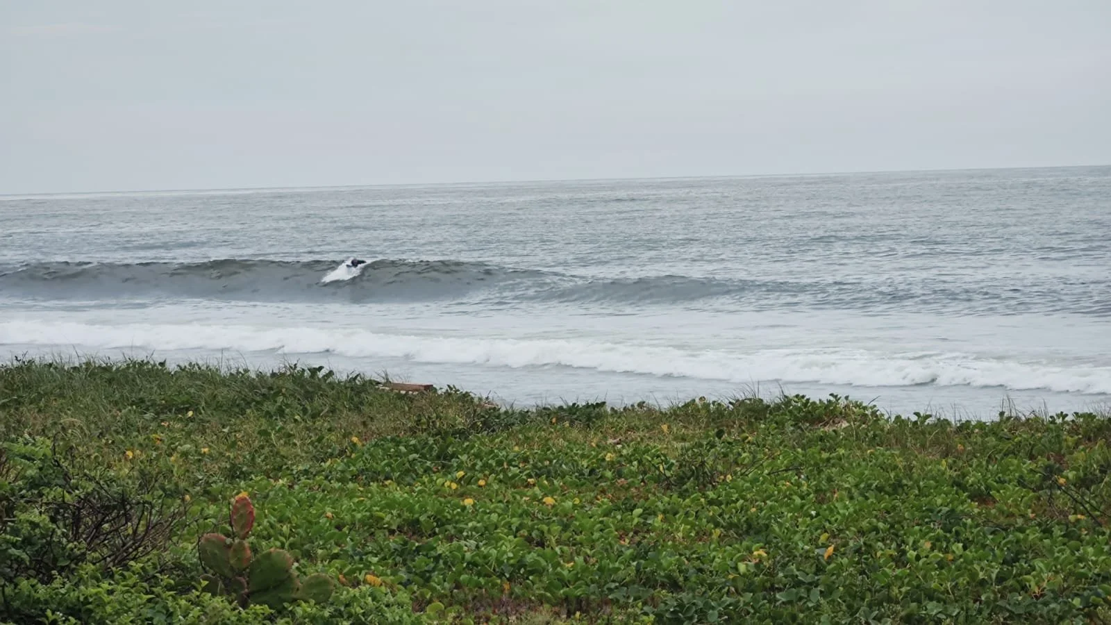 WhatsApp Image 2023-02-27 at 18.31.39.jpeg