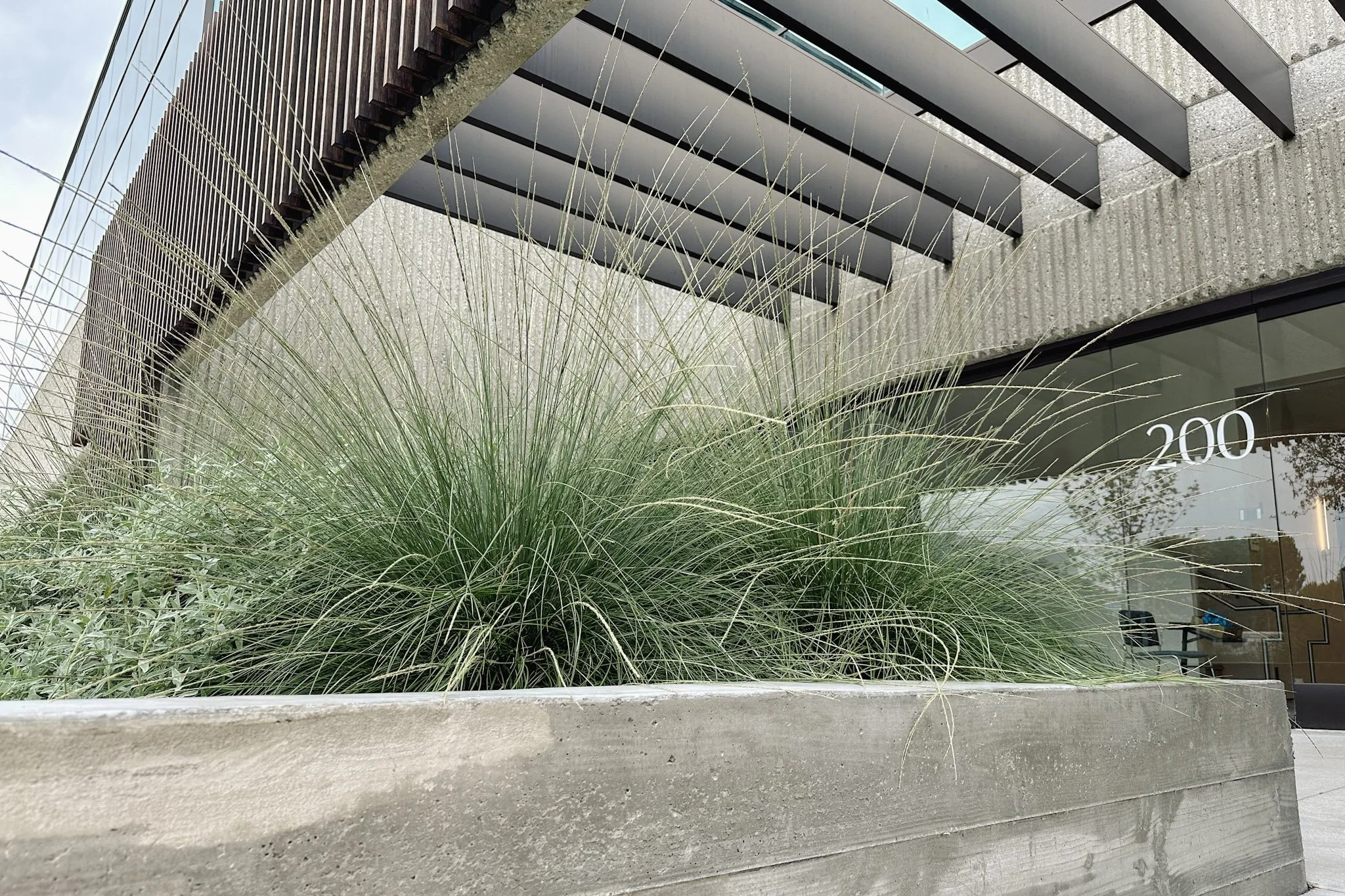 orwell_planter muhly.jpg