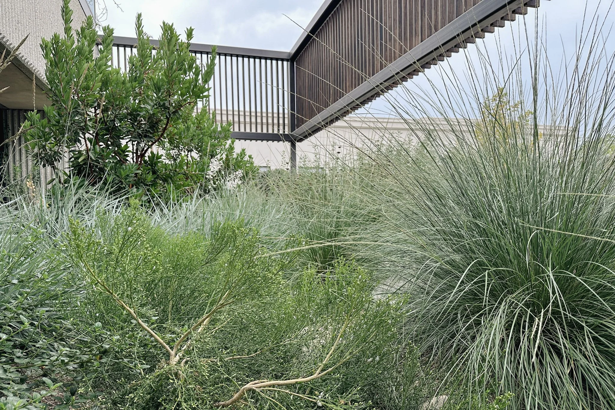 orwell_native garden.jpg