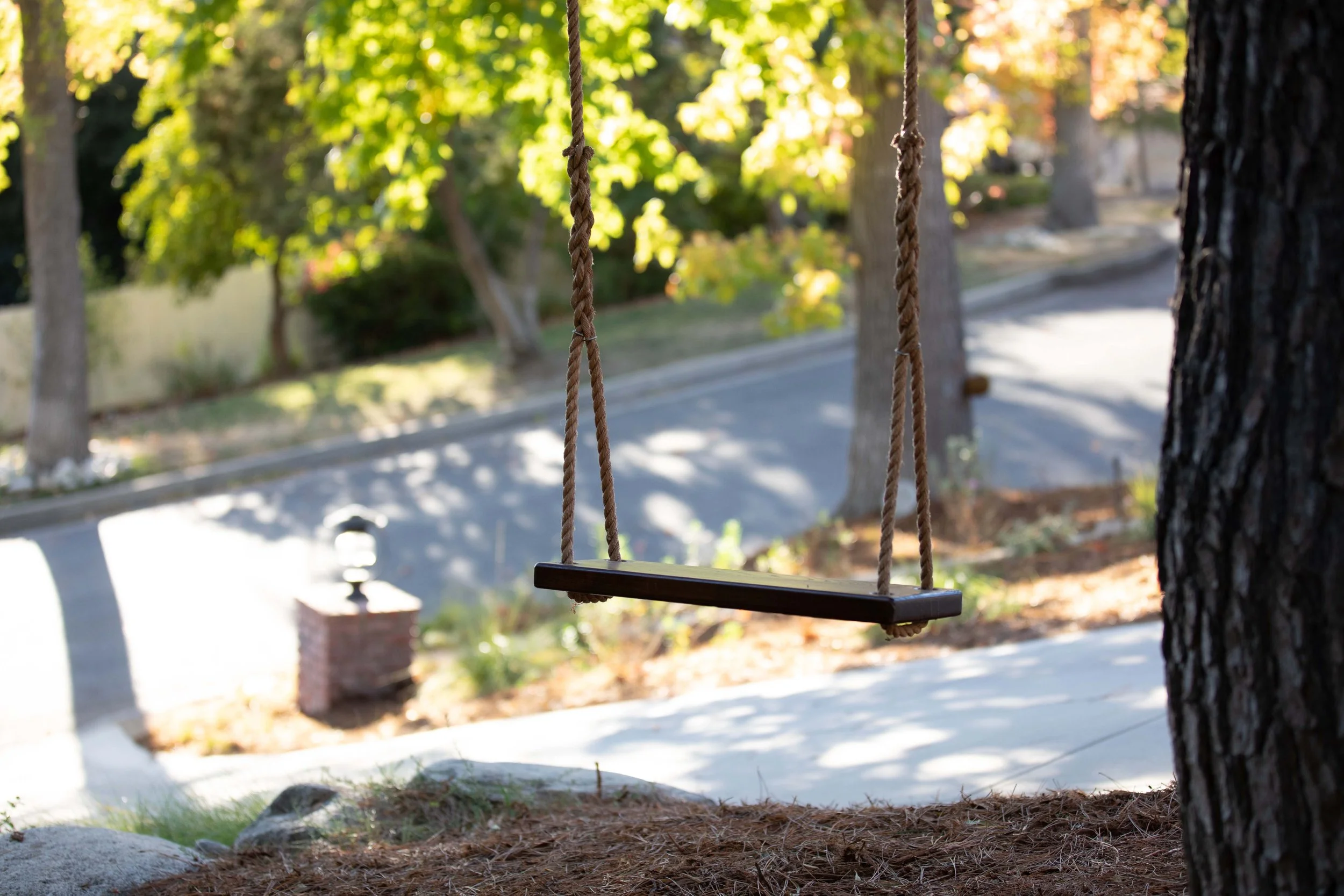 Rope swing on stone pine, residential garden La Cañada Flintridge, CRAFT Landscape Architecture