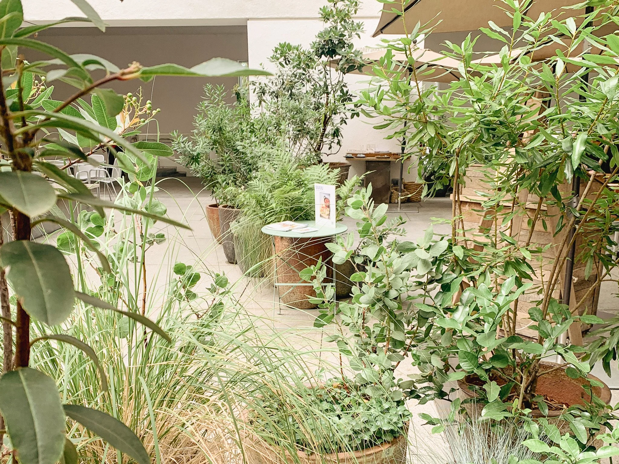 Receding row of terracotta containers with native grasses and shrubs at Lulu restaurant, Hammer Museum, designed by CRAFT Landscape Architecture