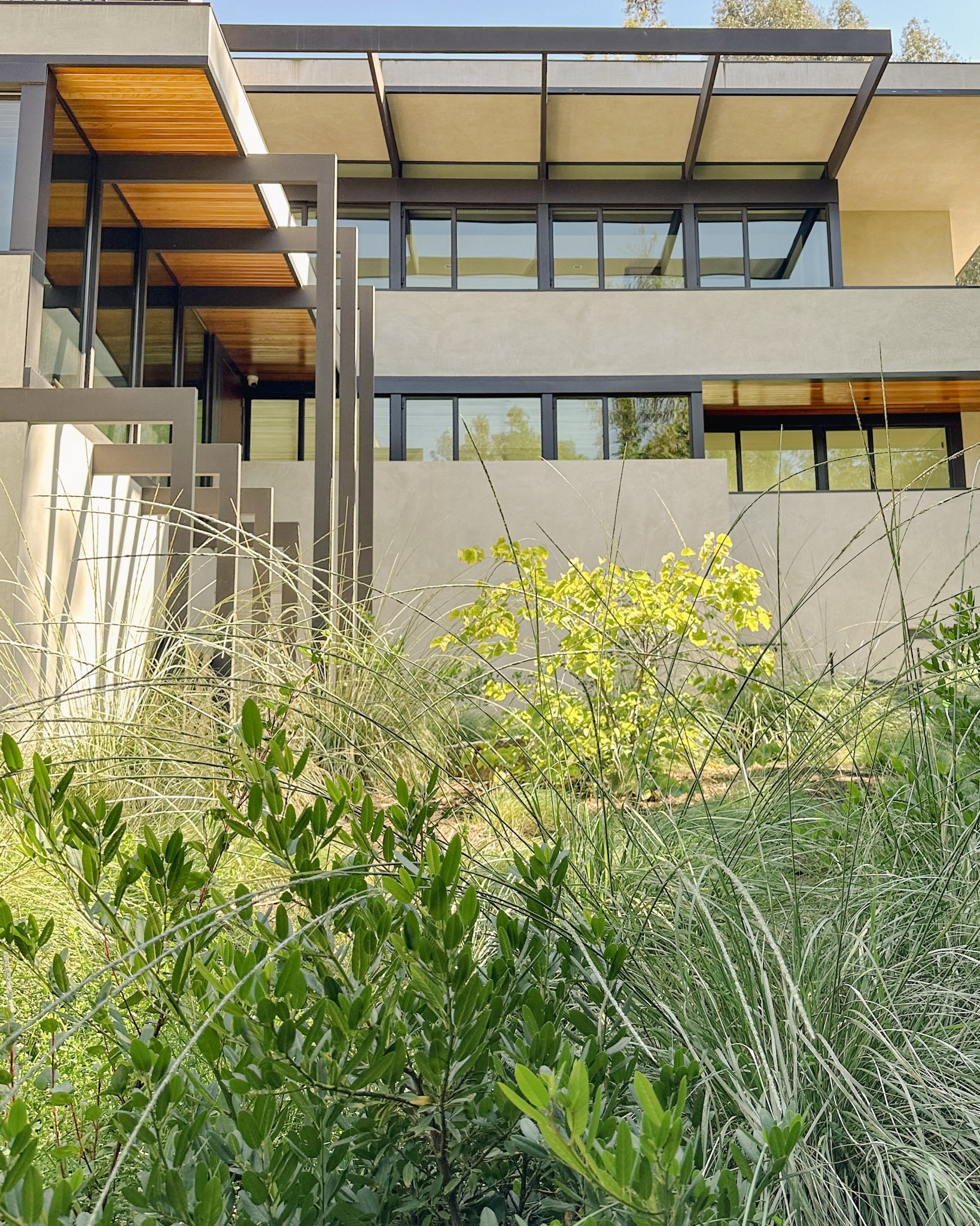 The spider trellis of this Neutra renovation recedes behind a host of California native plants - Hazen by CRAFT Landscape Architecture, Beverly Hills CA