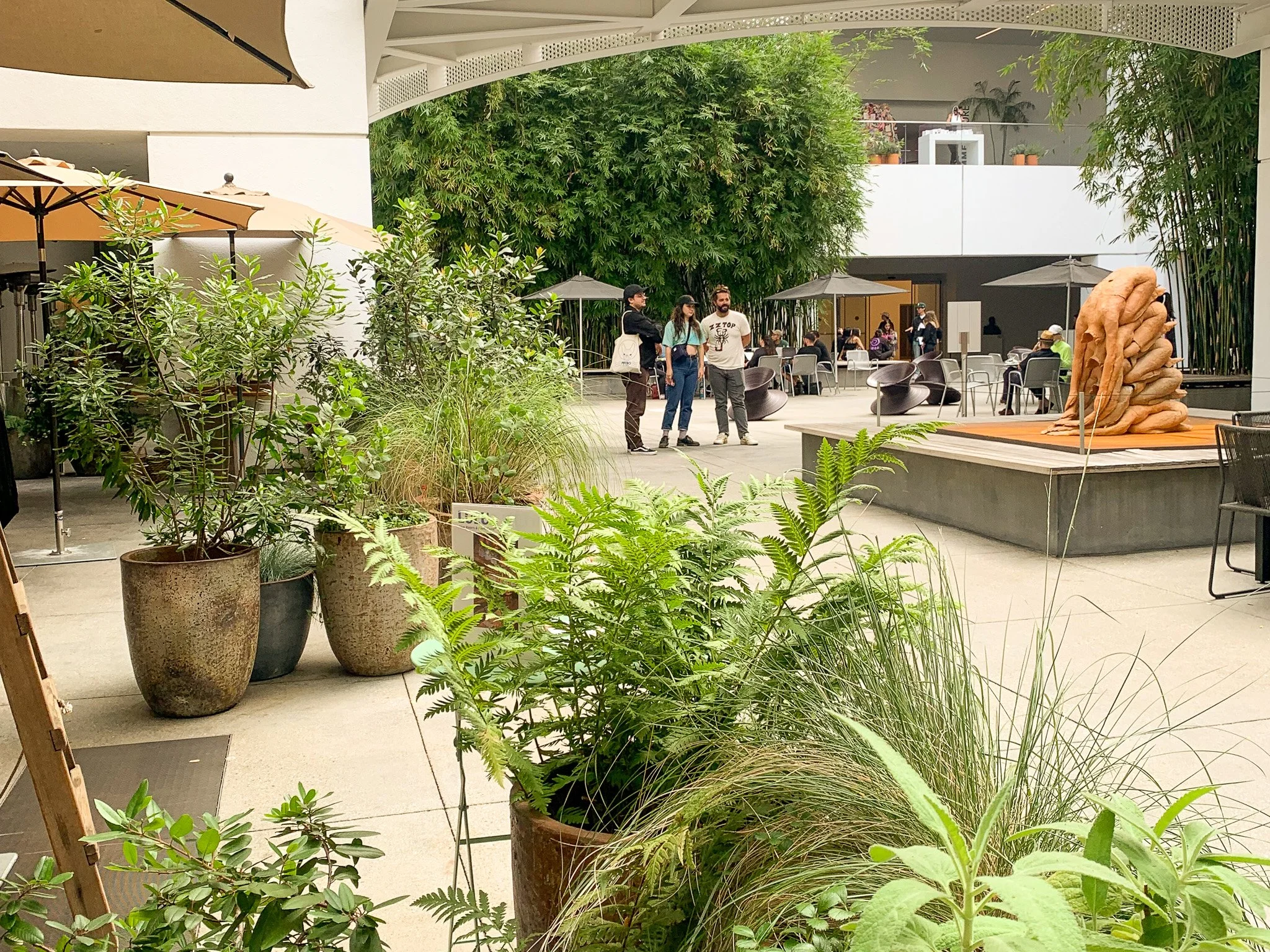 Native container planting with sculpture and Hammer Museum architecture in background, Lulu restaurant courtyard, Westwood