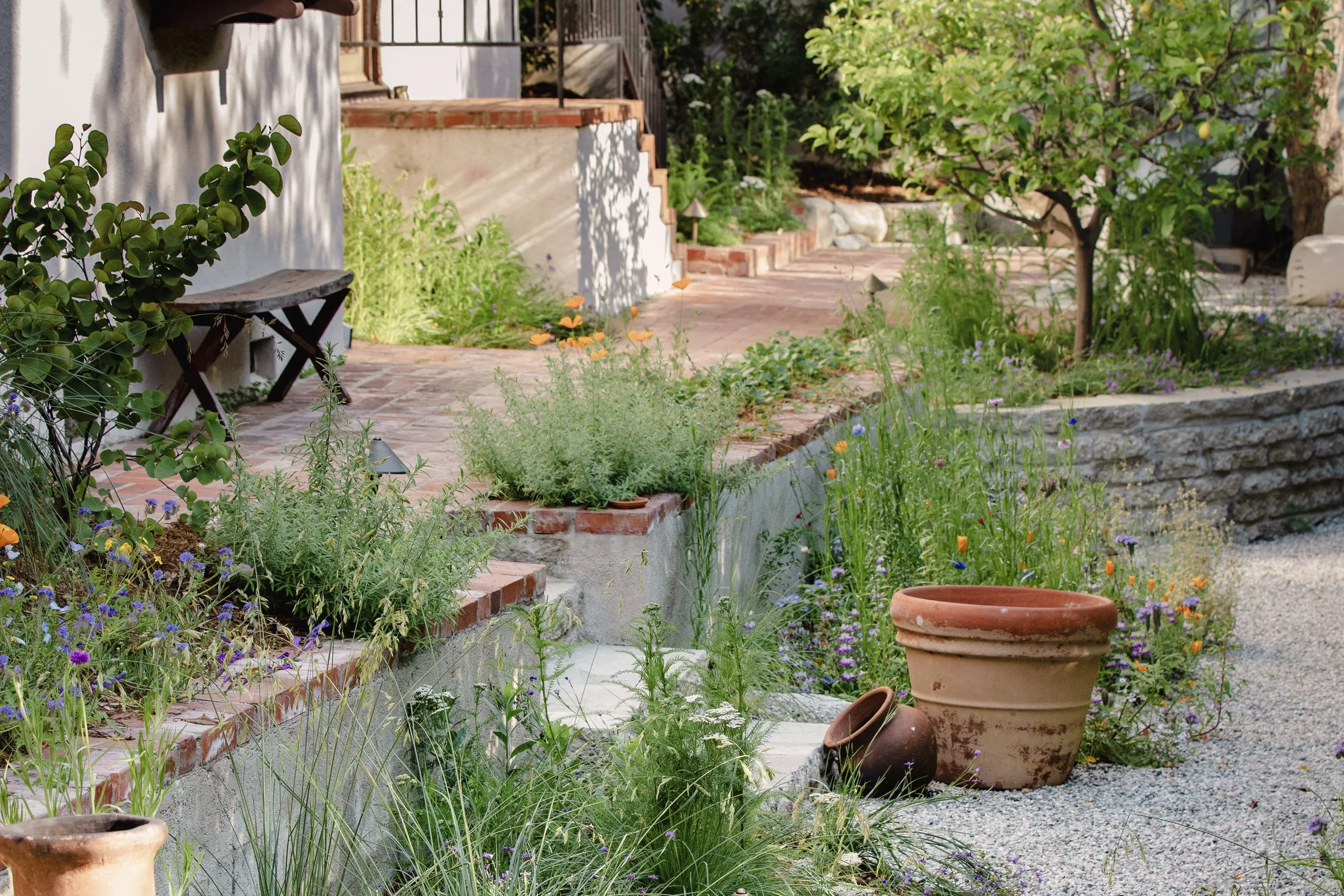 Natural Earth LA  Ben Lomond 027_edit.jpg