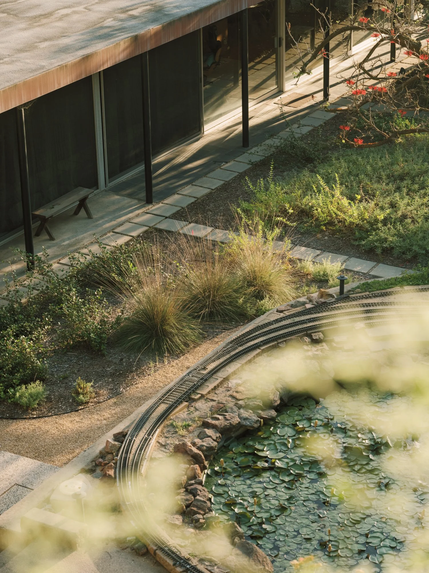 Aerial view of a lily pad pond, native sedge plantings, and garden railroad beside a Raphael Soriano midcentury modern home in Los Feliz