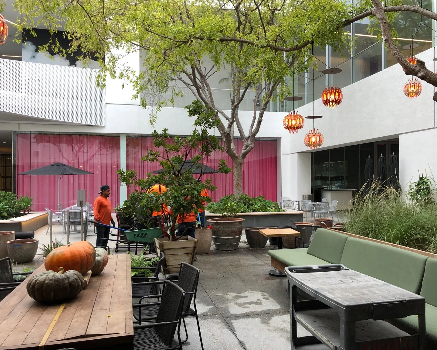 Lulu restaurant courtyard during installation with container planting and seasonal harvest display, Hammer Museum