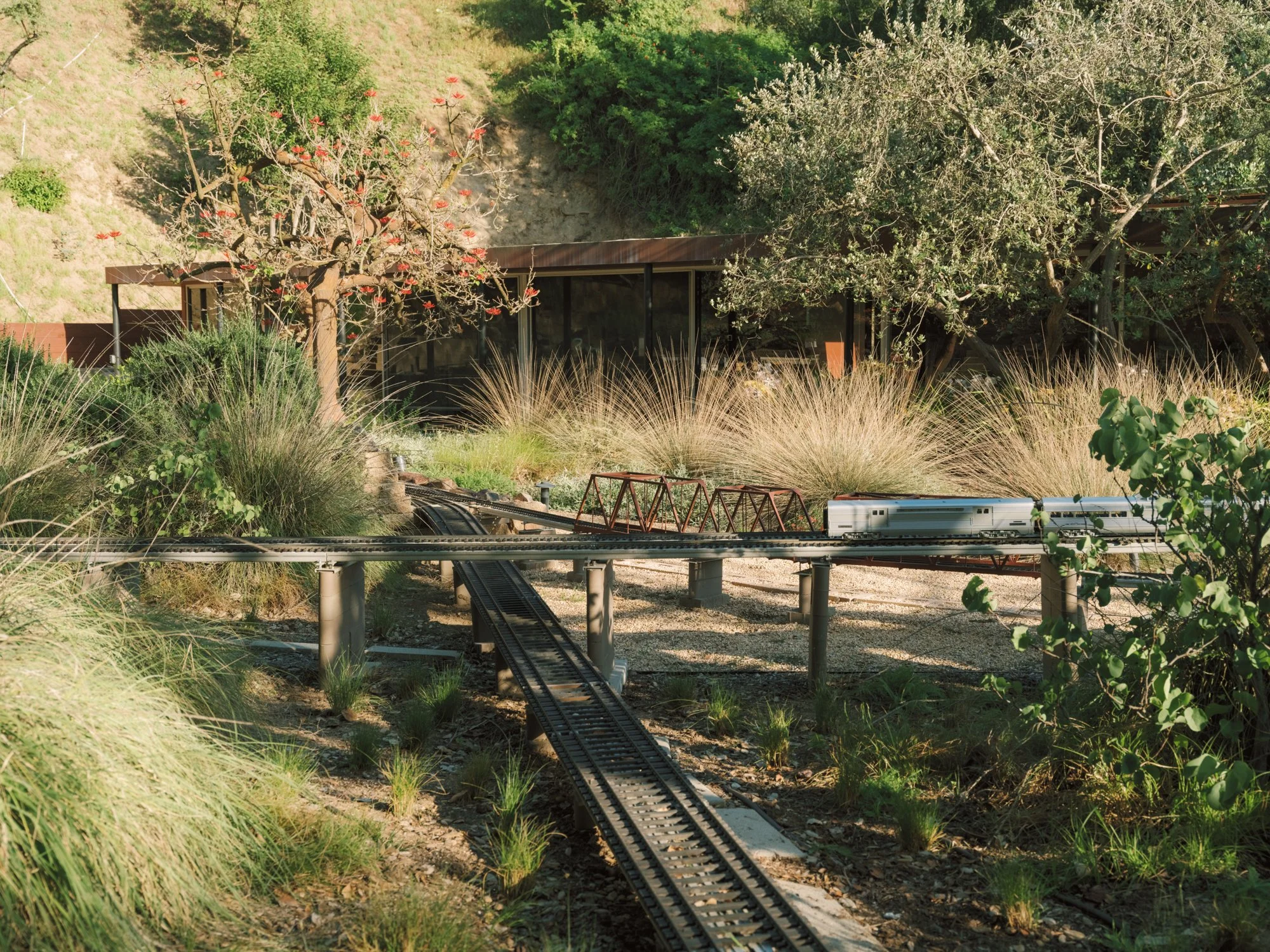 Miniature garden railroad bridge winding through native grasses and Cercis occidentalis in a Los Feliz hillside garden designed by CRAFT Landscape Architecture