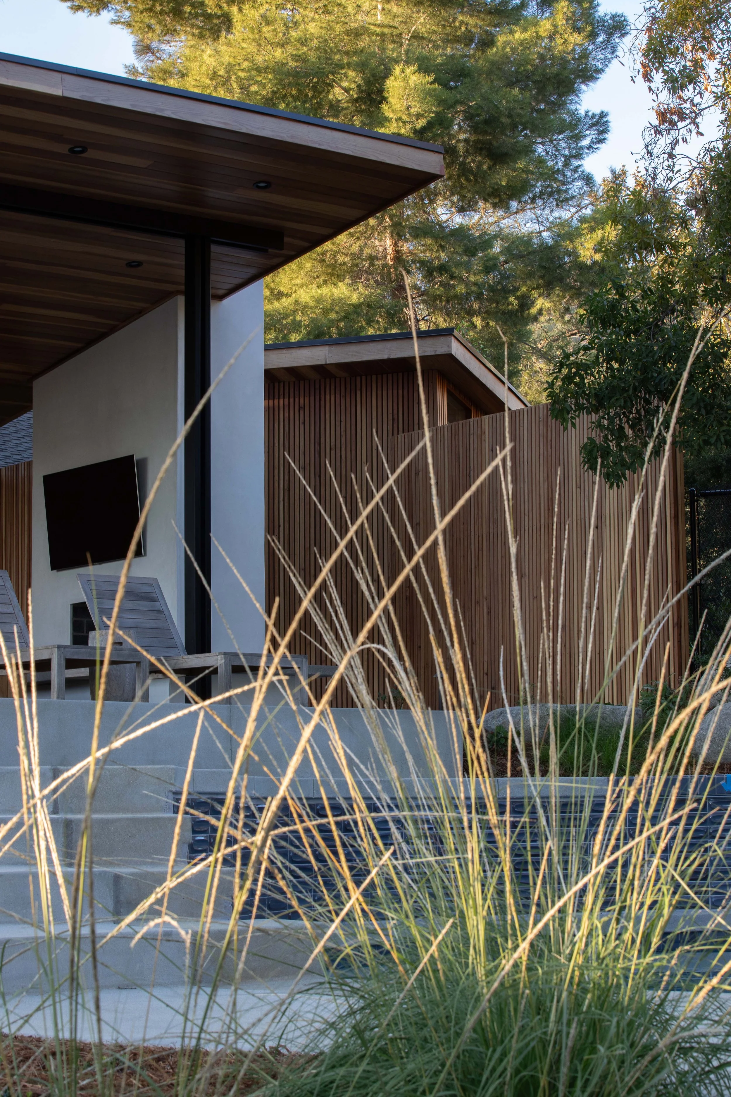Muhlenbergia rigens deer grass in golden light, cedar pavilion, native planting La Cañada Flintridge