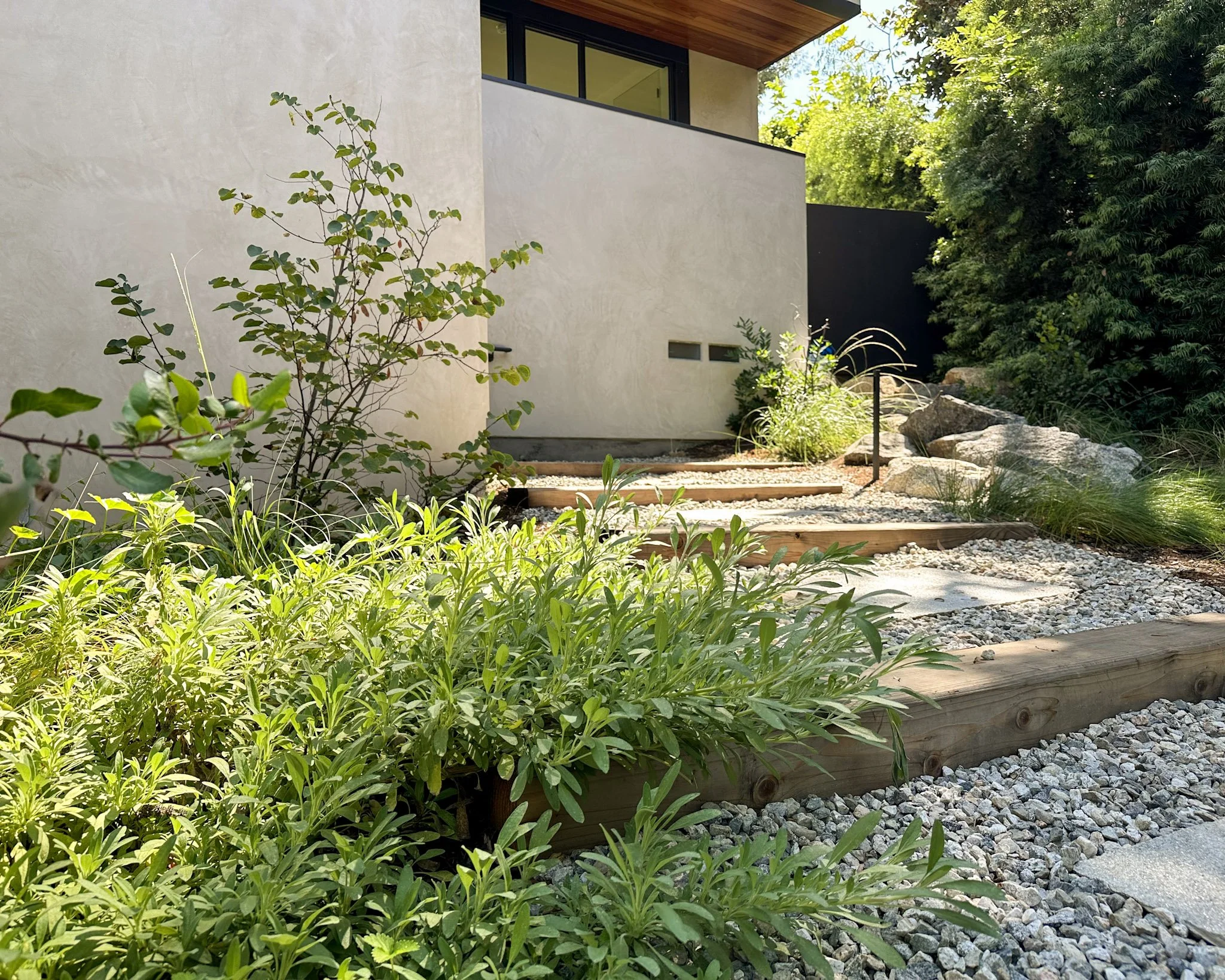 Modern house exterior with a gravel pathway, green shrubs, and trees surrounded by natural landscaping.