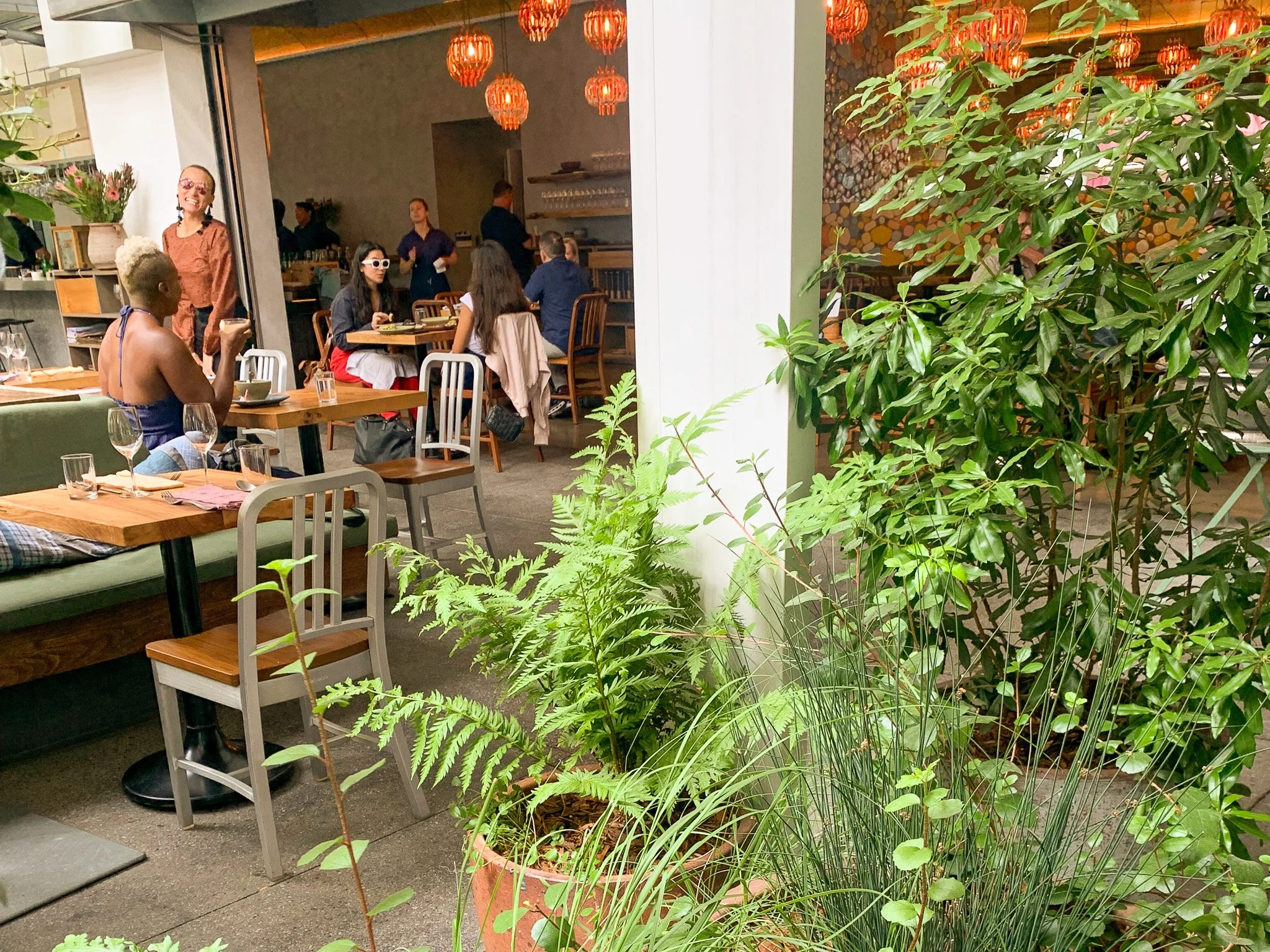 Native fern and grass container planting framing Lulu restaurant dining room interior with hanging lanterns, Hammer Museum