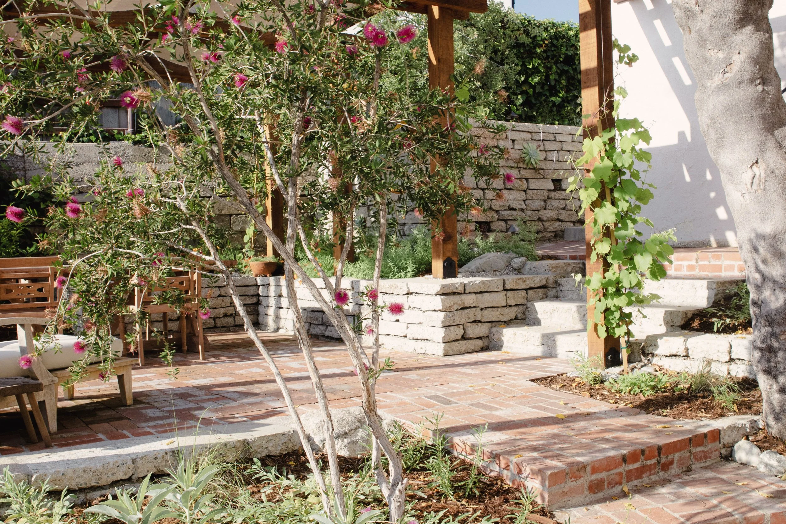 Natural Earth LA  Ben Lomond 094_edit.jpg