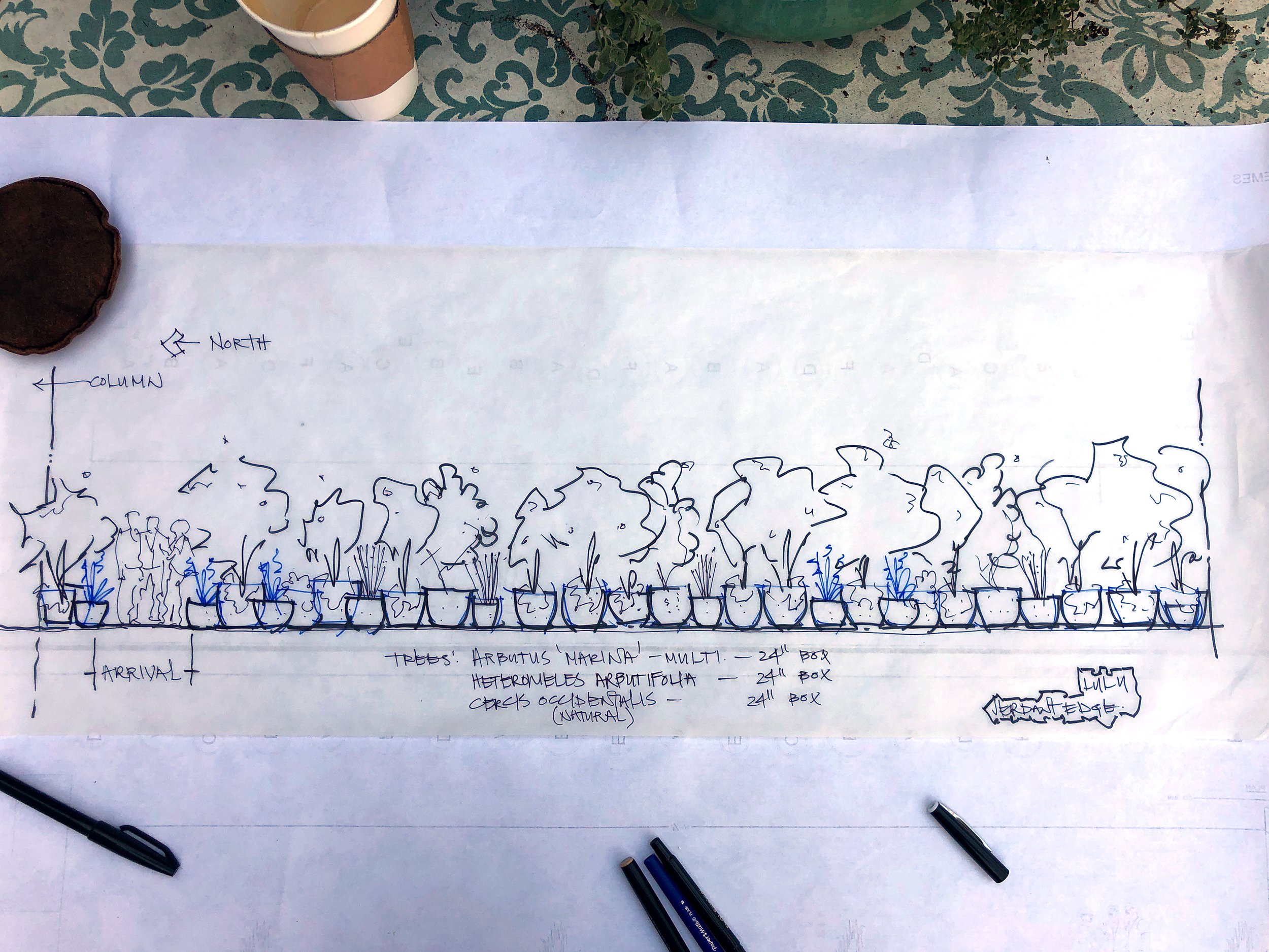 LULU-container-elevation.jpg