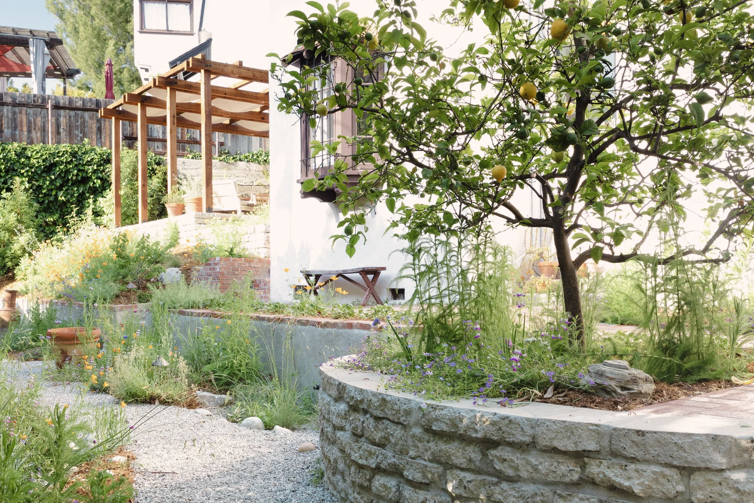 Natural Earth LA  Ben Lomond 037_edit.jpg