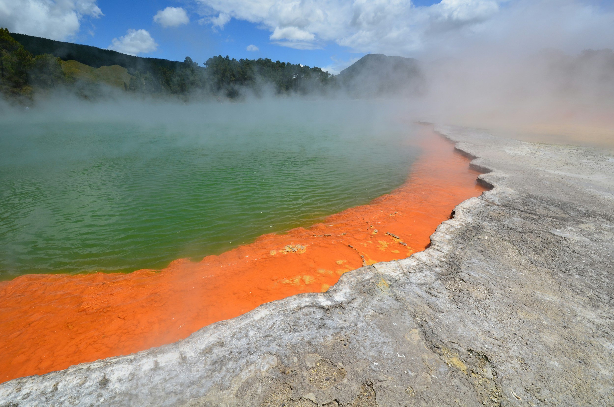 Bubbling hot pools Rotorua