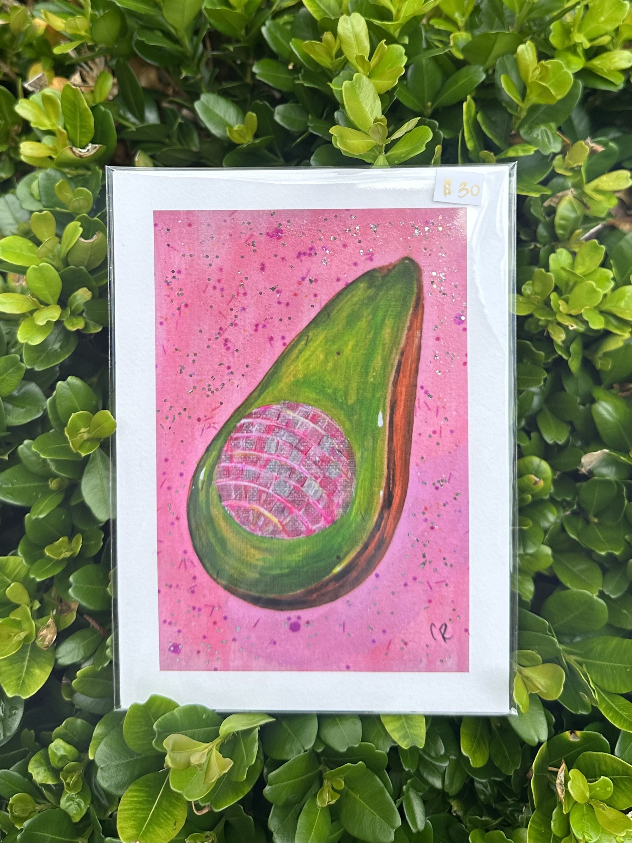 avocado_disco_img4.jpeg