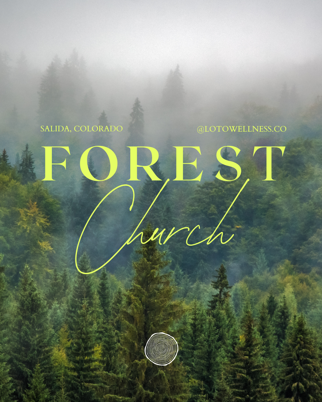 Forest Church: Stillness is a Mirror for the Soul