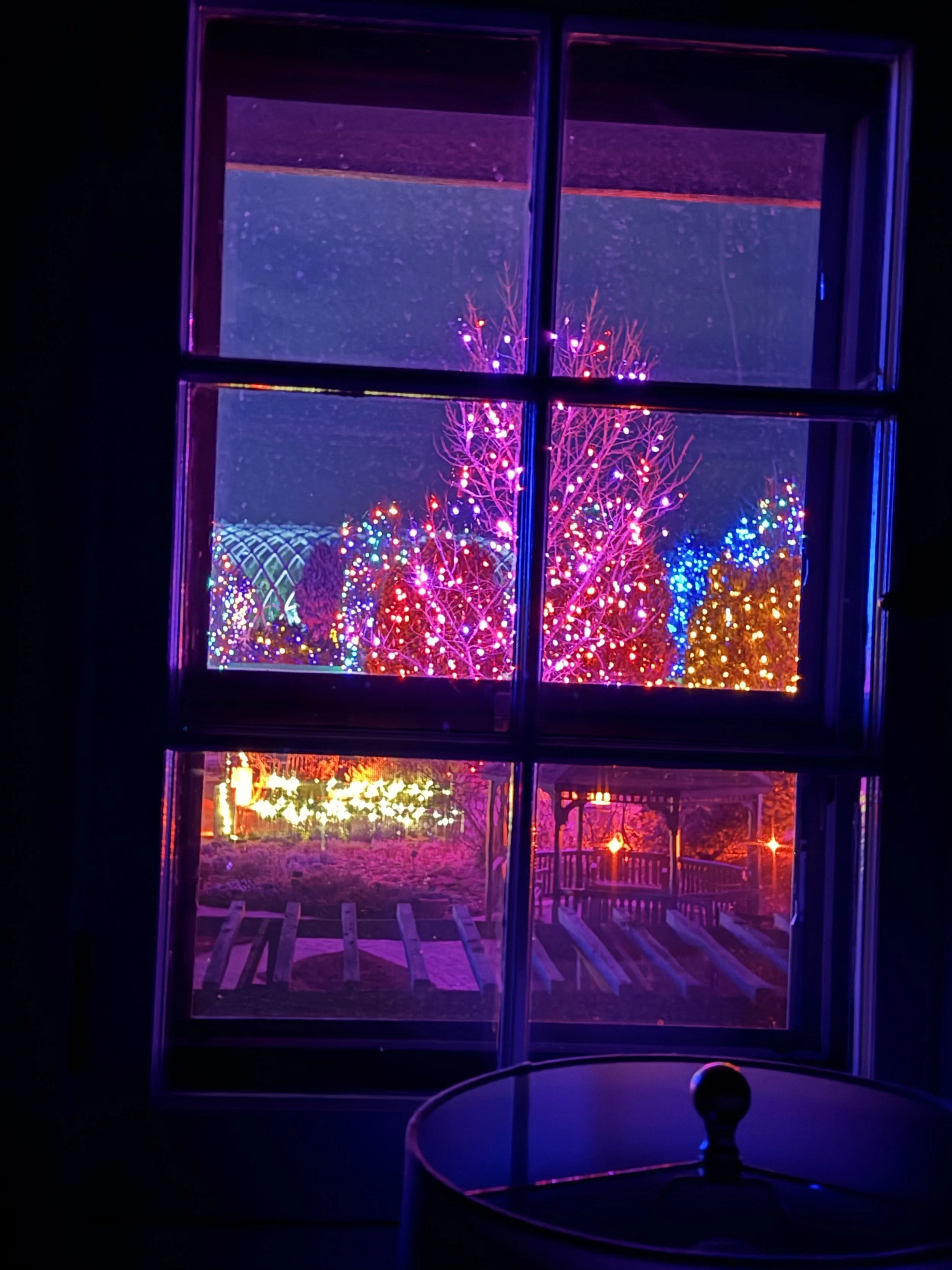 IMG_1800.jpeg