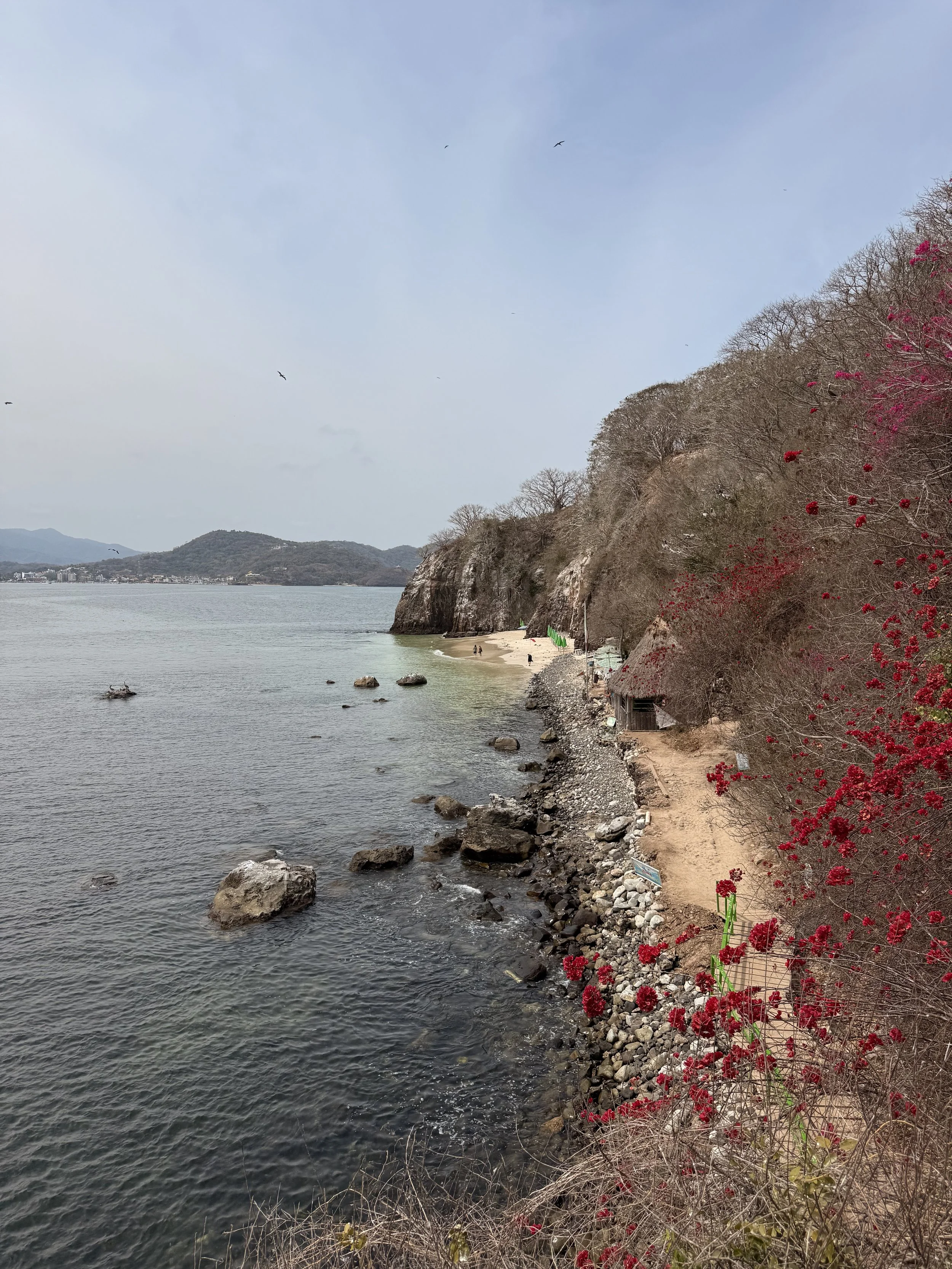 IMG_4148.jpeg
