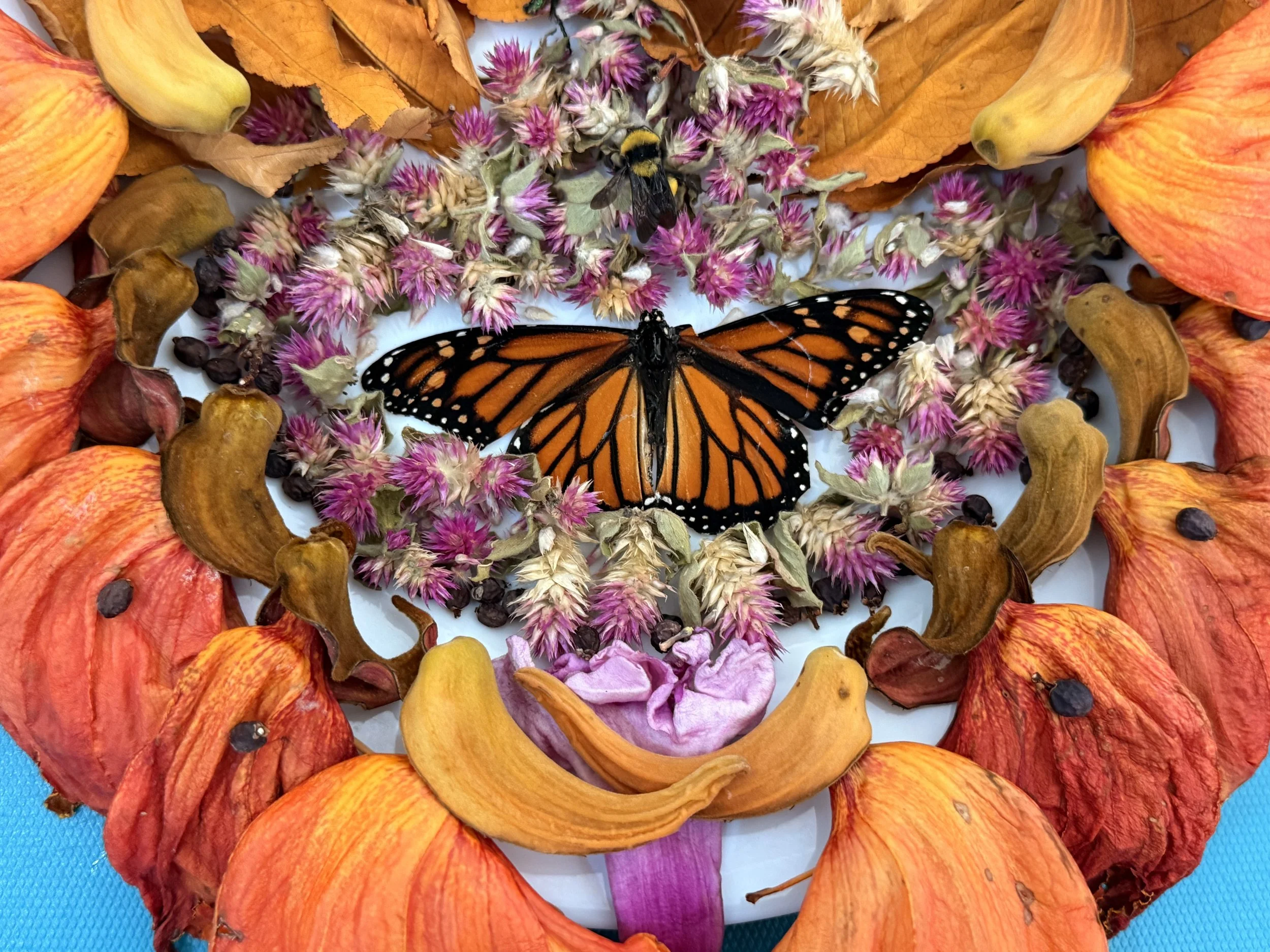 Morning Altars: Beauty as Creation Care