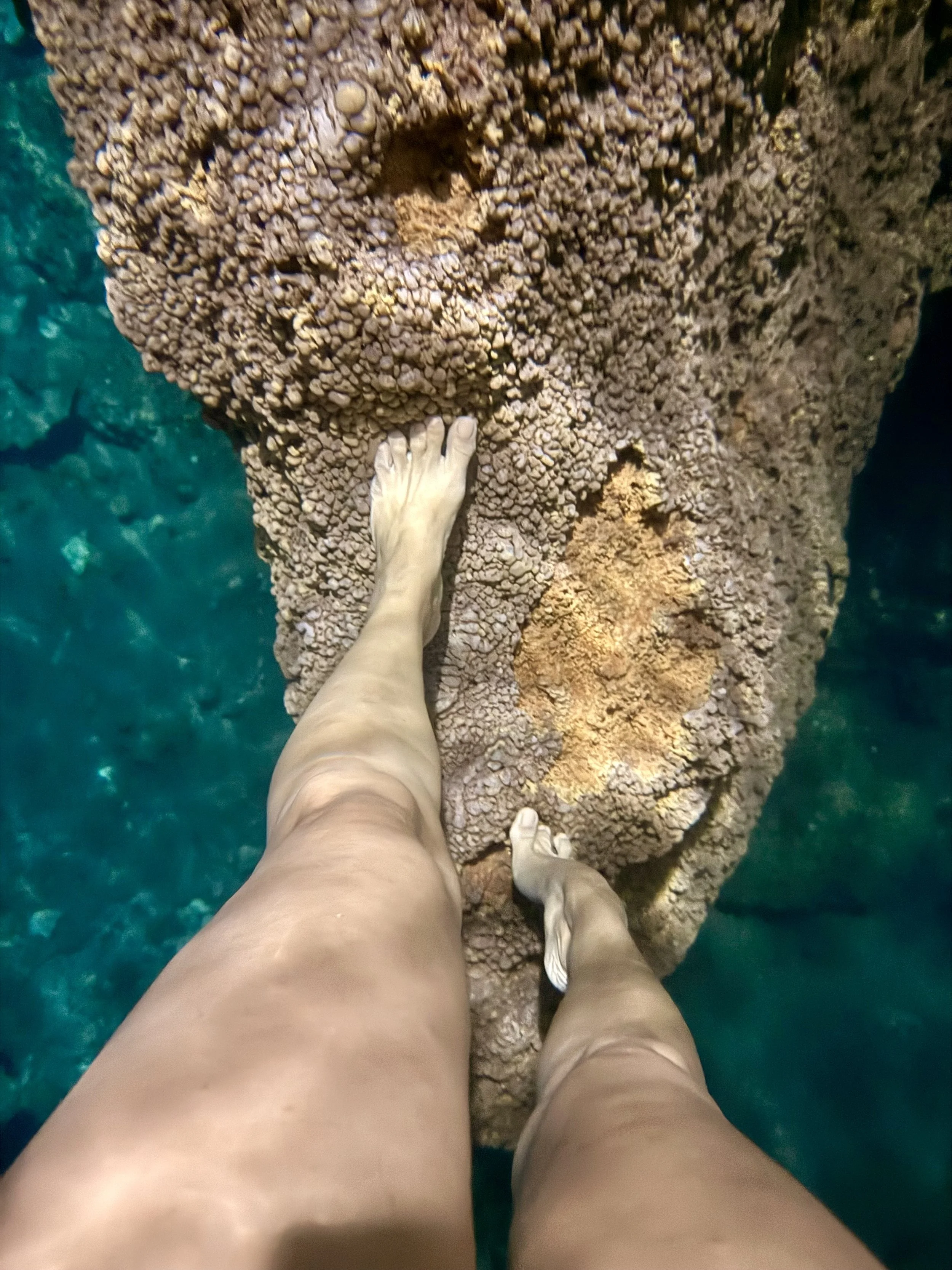 IMG_9896.jpeg