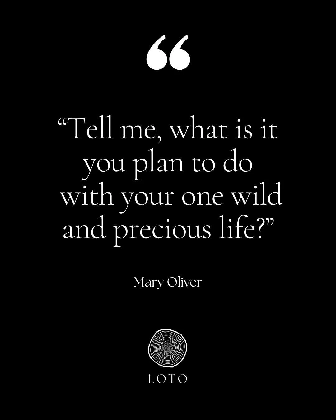 &ldquo;Tell me, what is it you plan to do
with your one wild and precious life?&rdquo;
&mdash; Mary Oliver

Every morning, creation answers that question without hesitation.
The sun rises. The tide returns. The flowers open &mdash; even after the sto