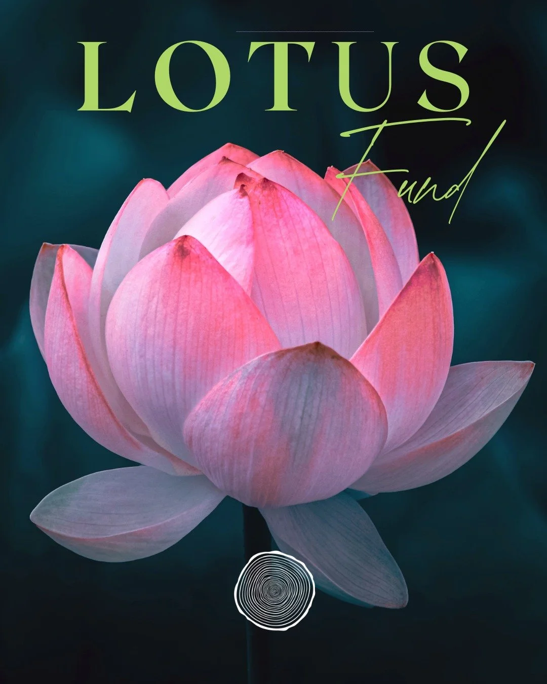 There&rsquo;s a truth I&rsquo;ve learned again and again:
Rest should never be a privilege.

And yet, for far too many women &mdash; especially those carrying the weight of systemic inequity and generational exhaustion &mdash; access to deep rest, he