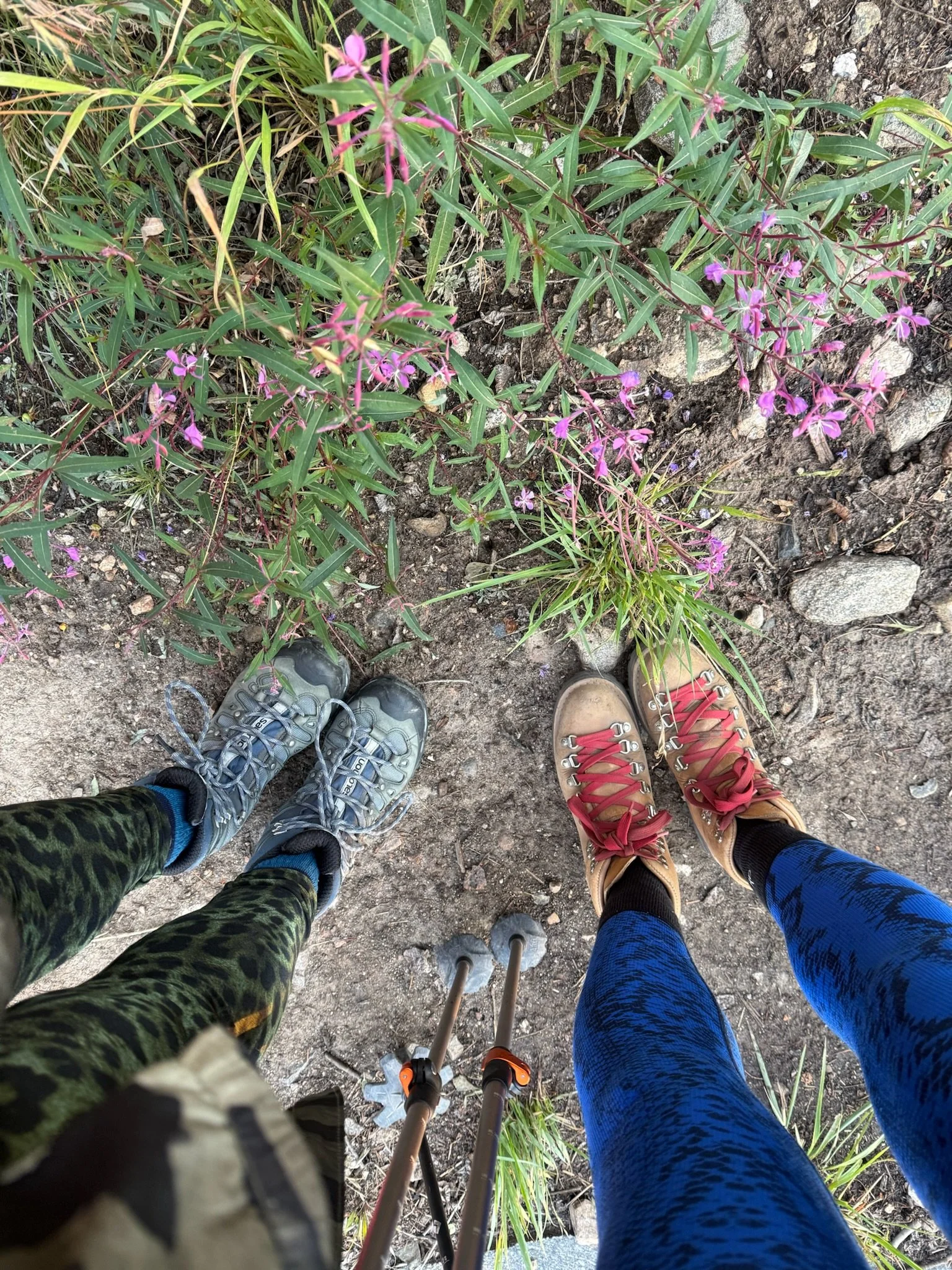 IMG_2332.jpeg