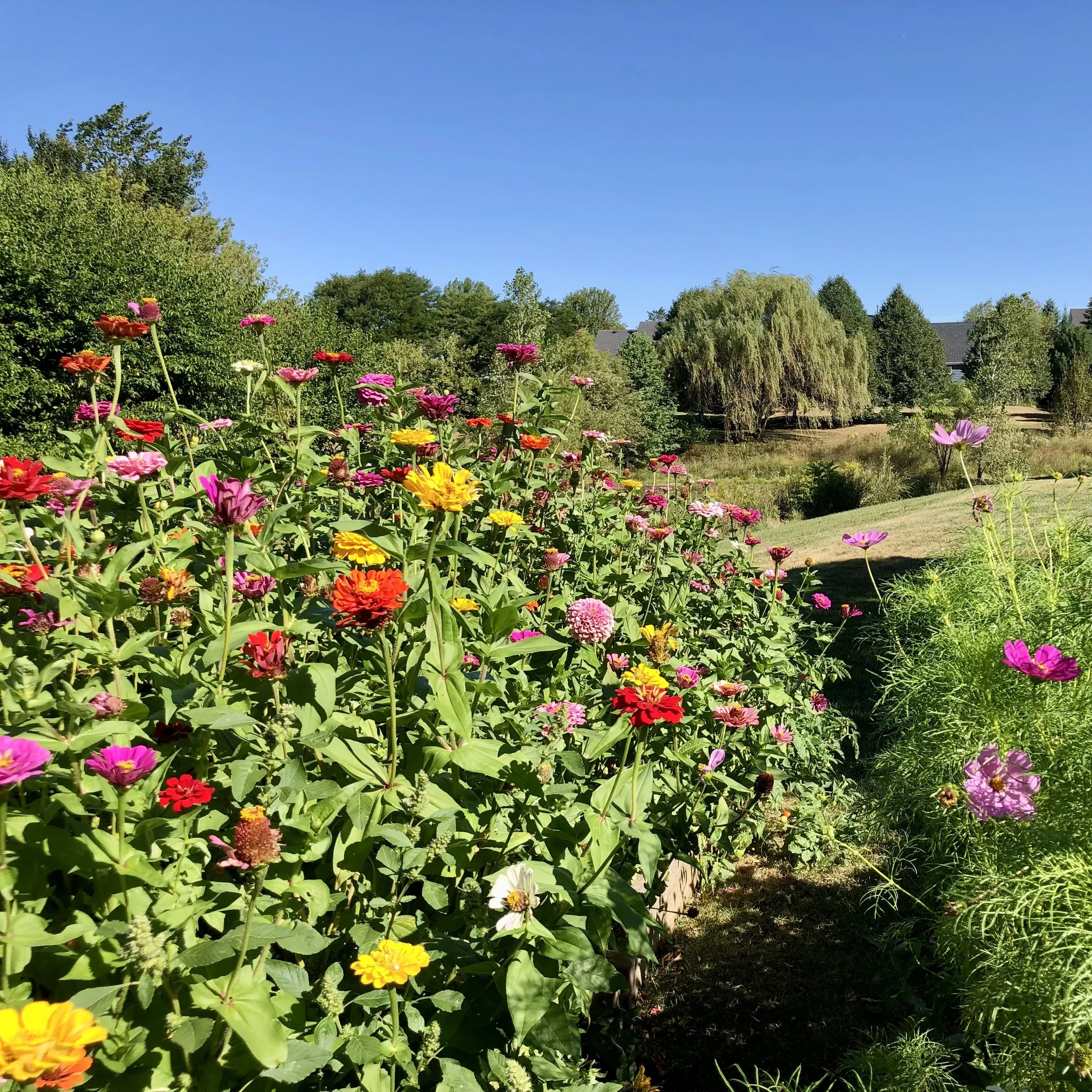 IMG_7590.jpeg
