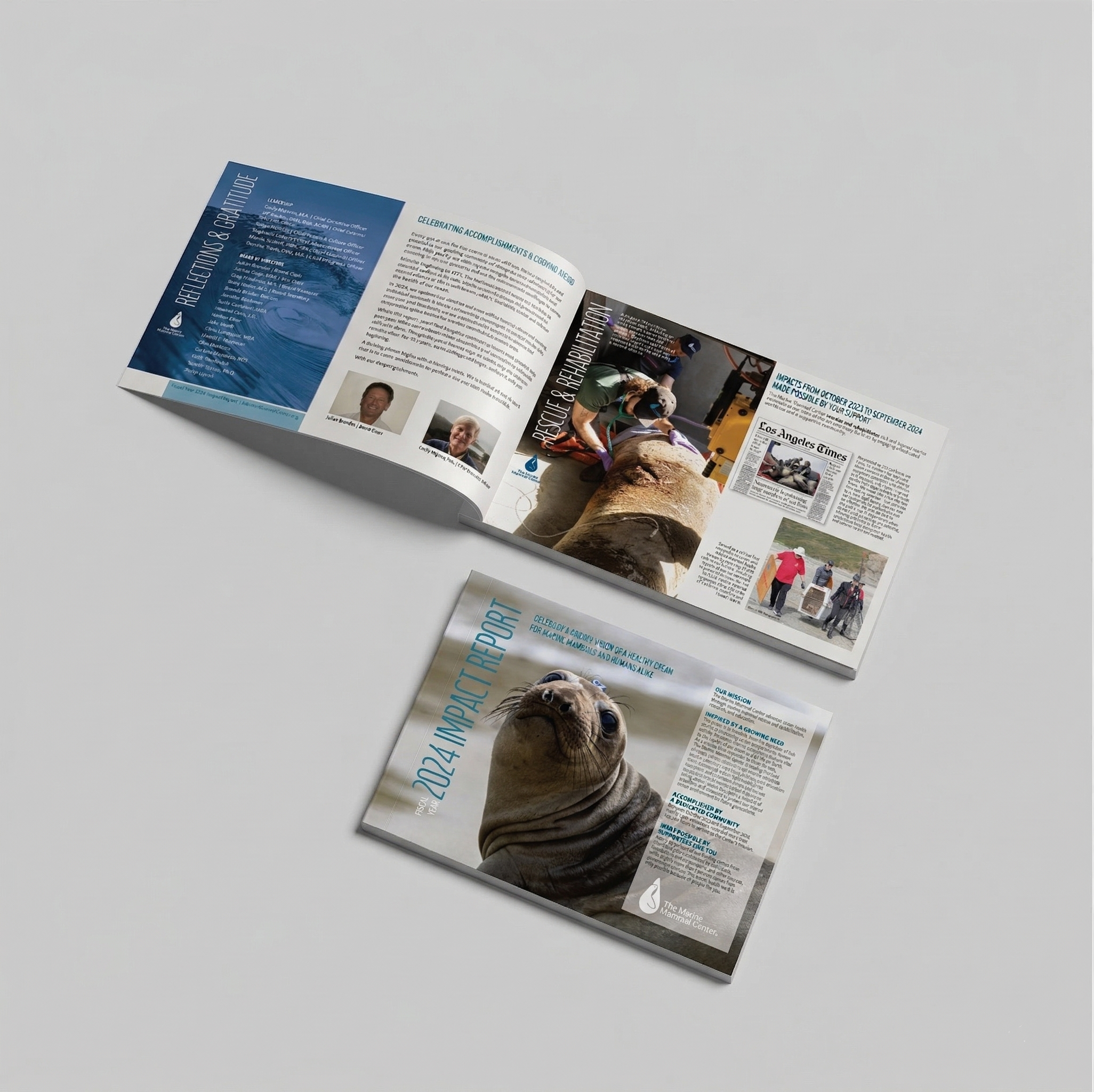 TMMC Impact report2.png